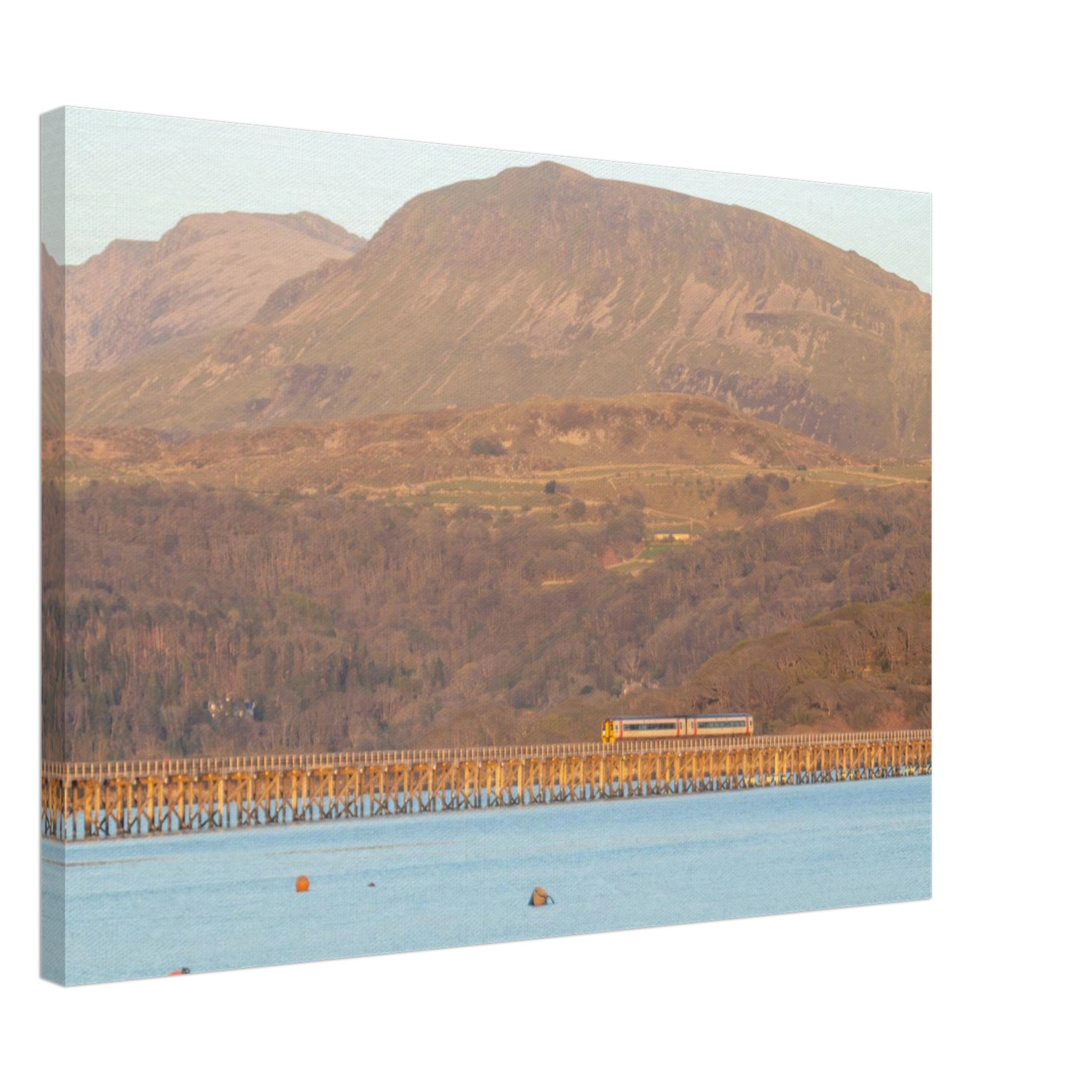 Barmouth Bridge And Trains