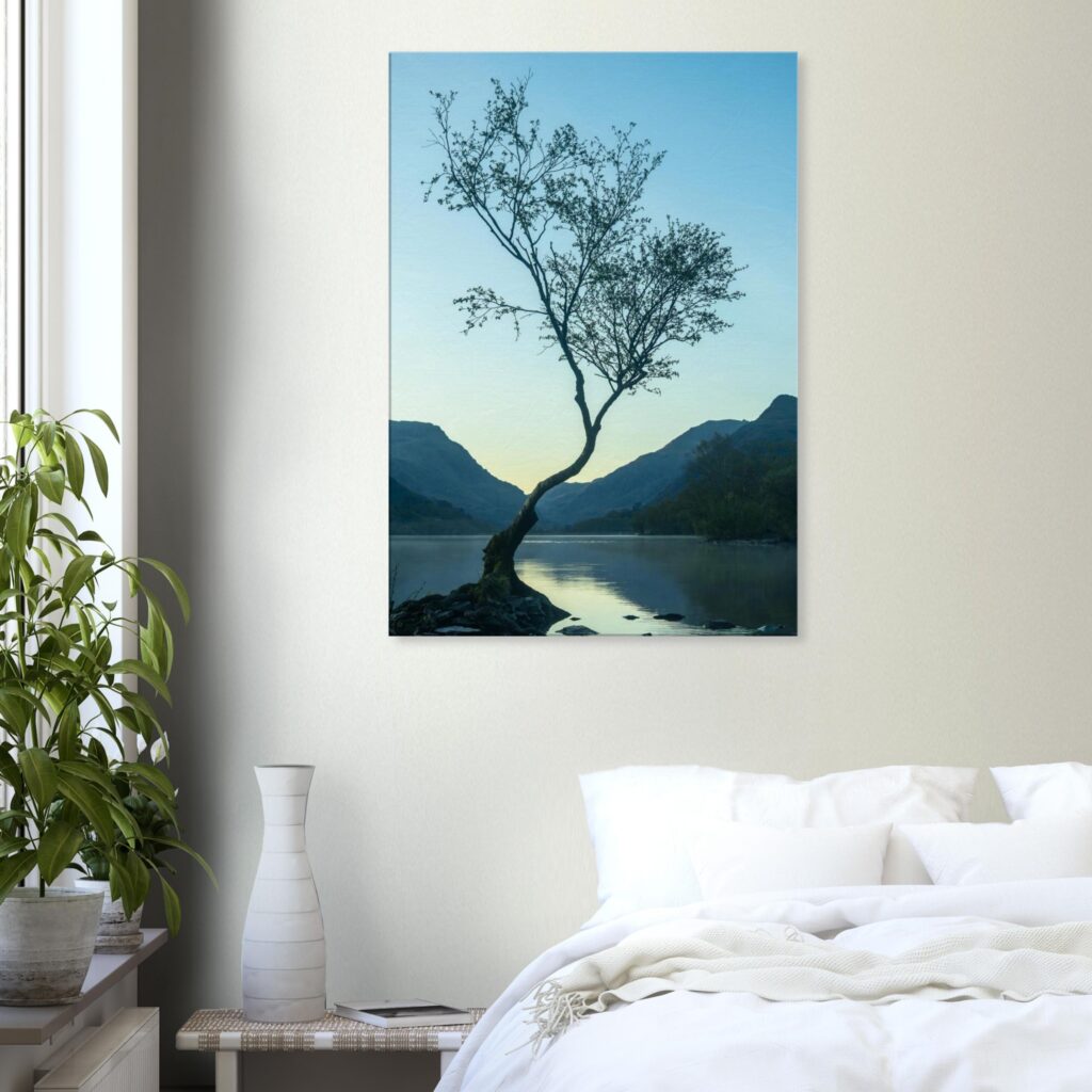 Lonely Tree Twilight