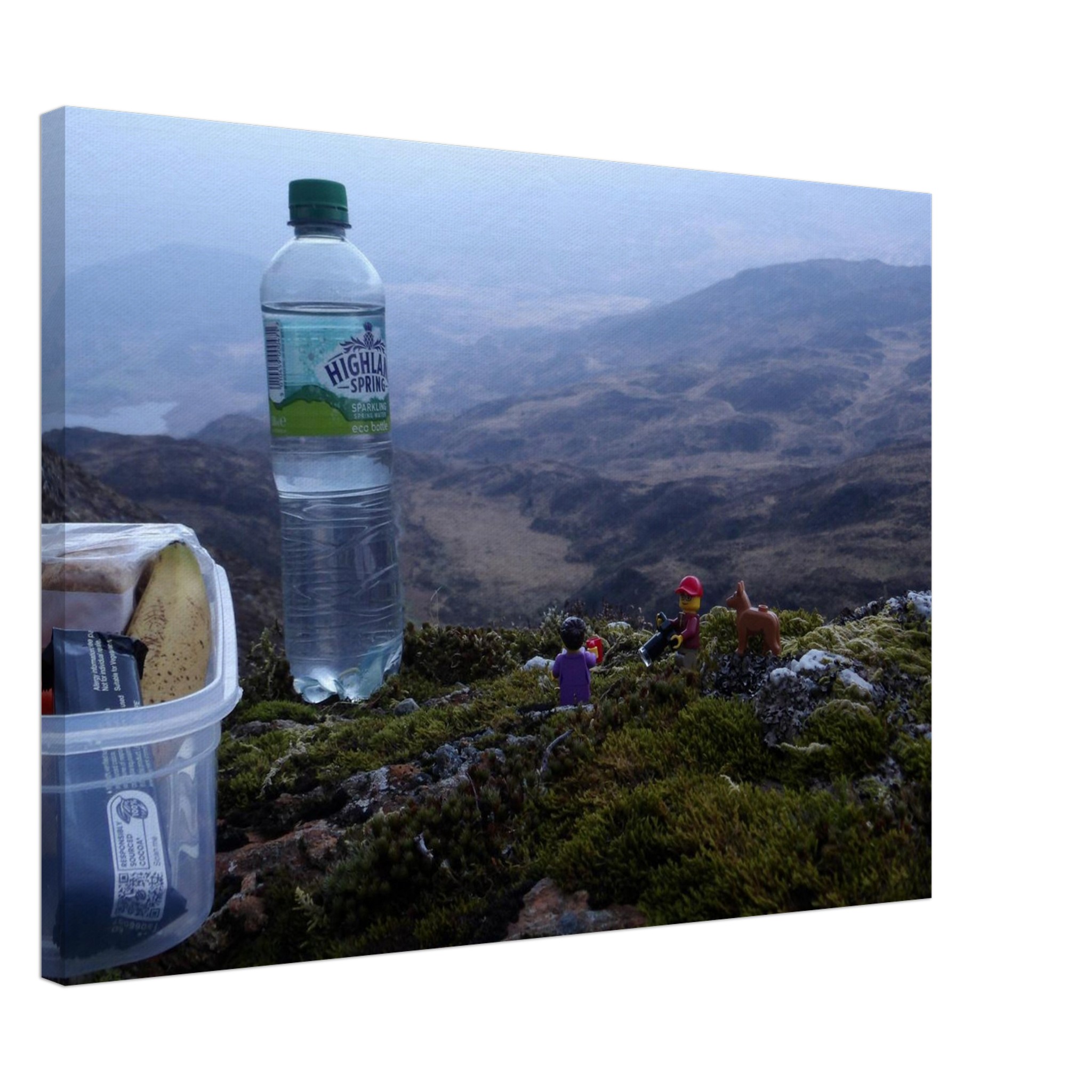 Del, Delila and Noal Lunch