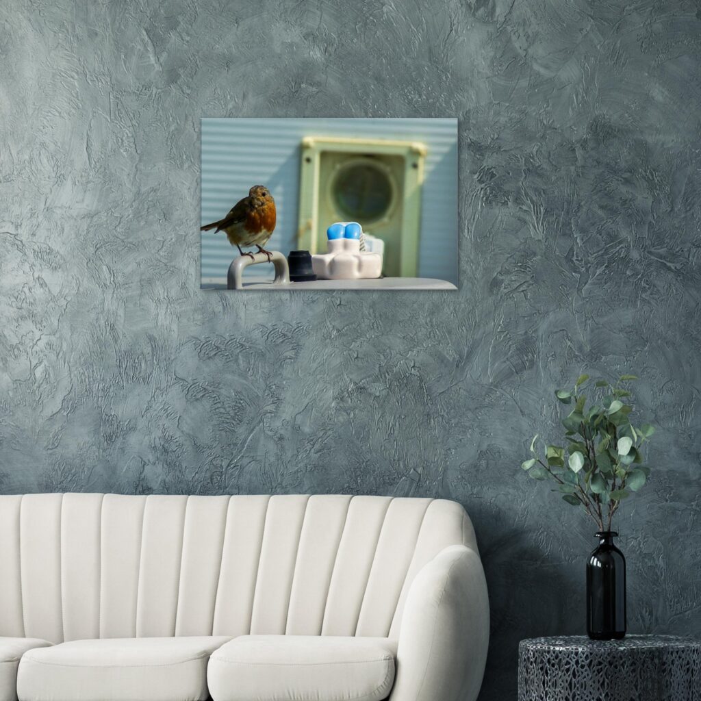 Robin Standing On Waterbutt