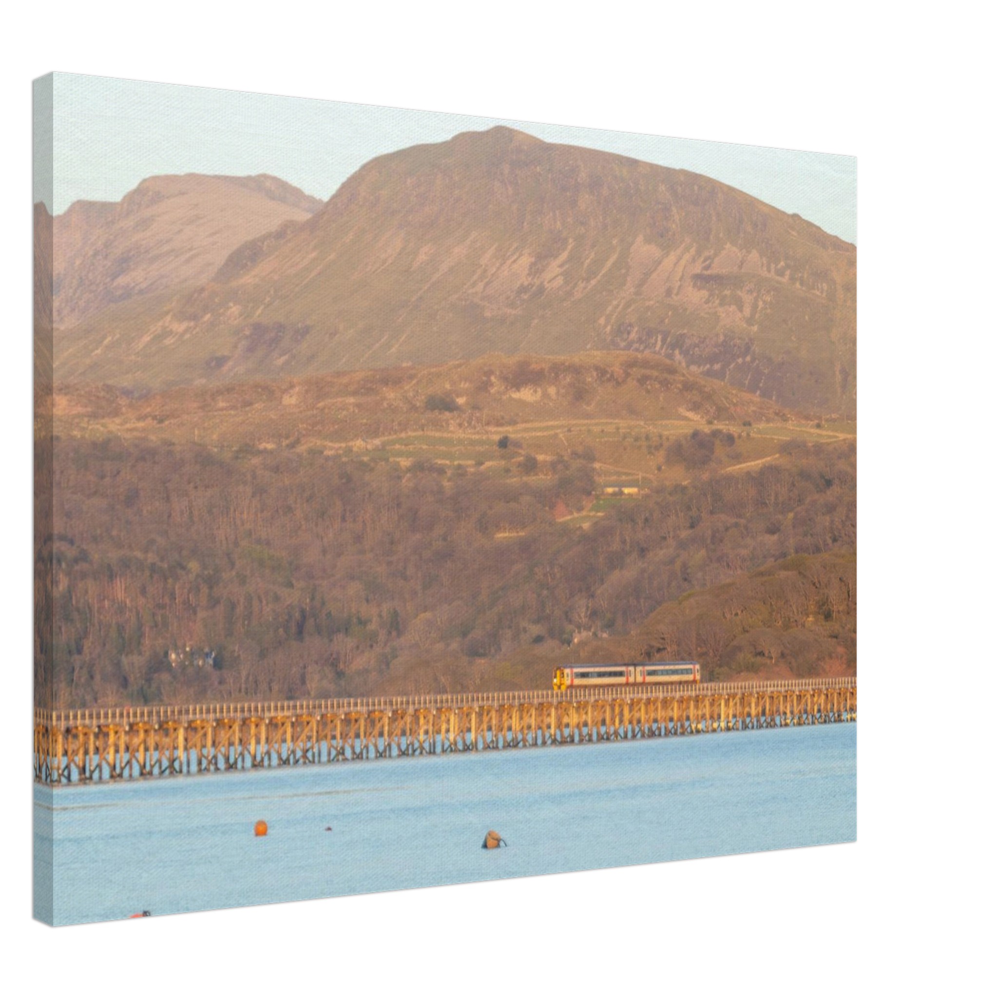 Barmouth Bridge And Trains