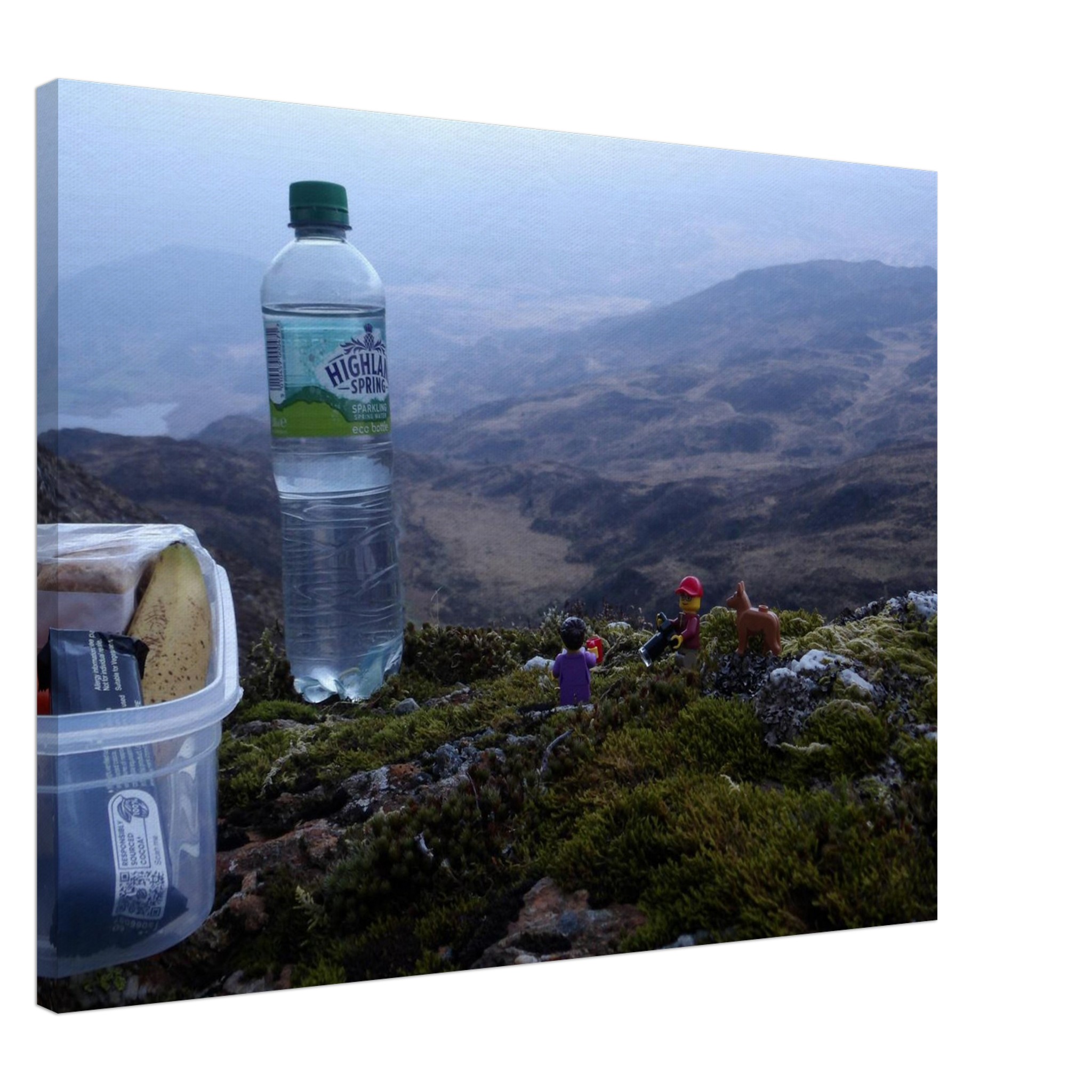 Del, Delila and Noal Lunch