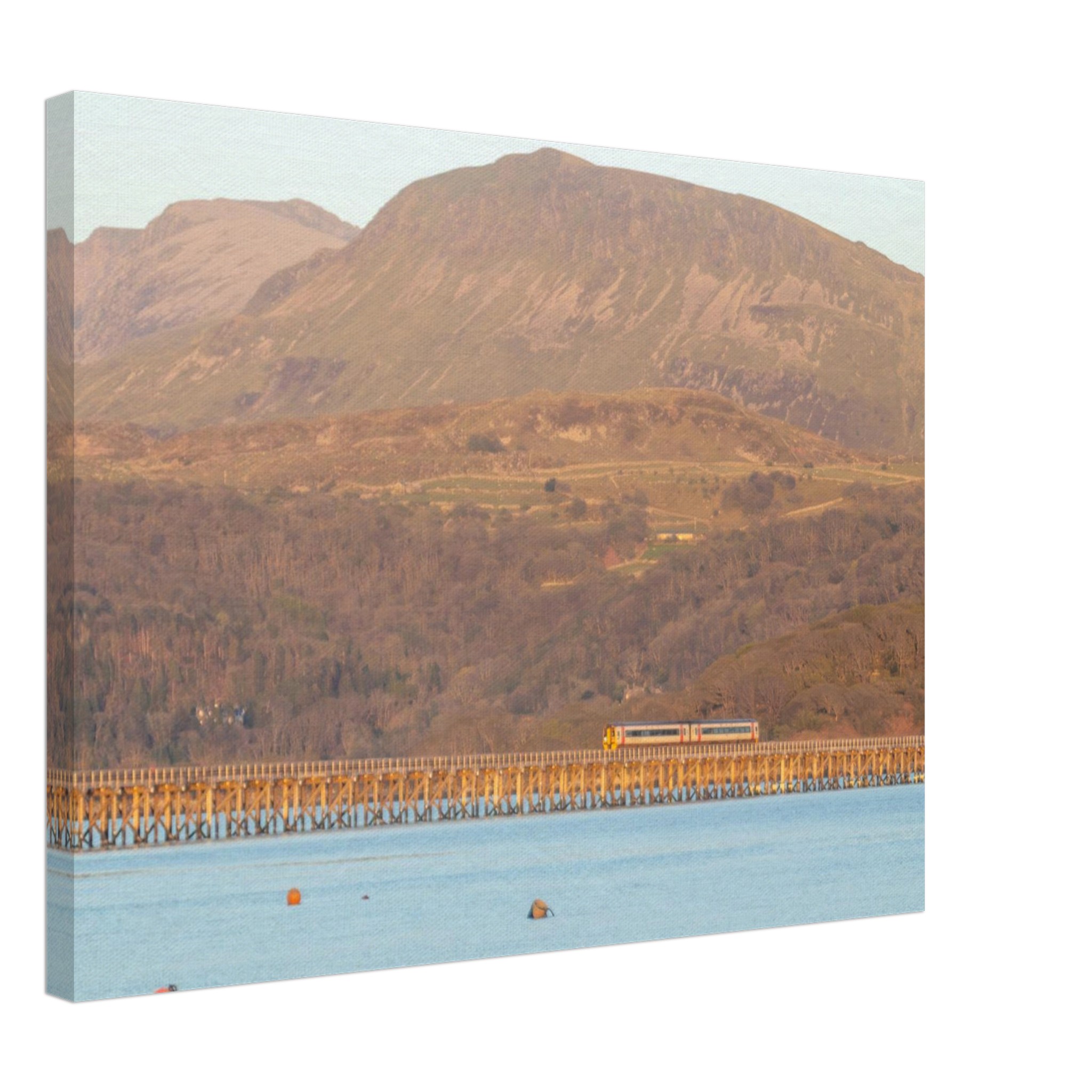 Barmouth Bridge And Trains