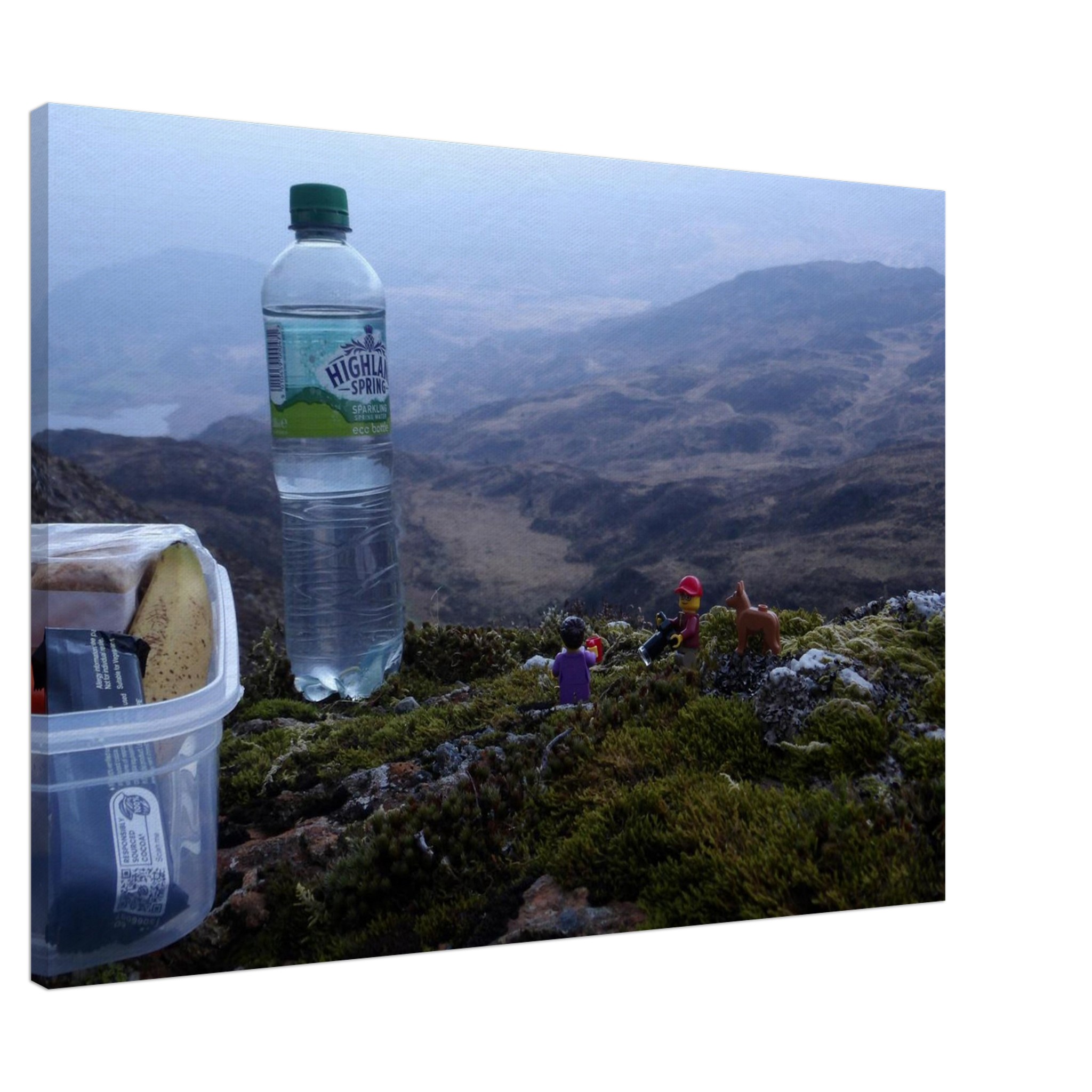 Del, Delila and Noal Lunch