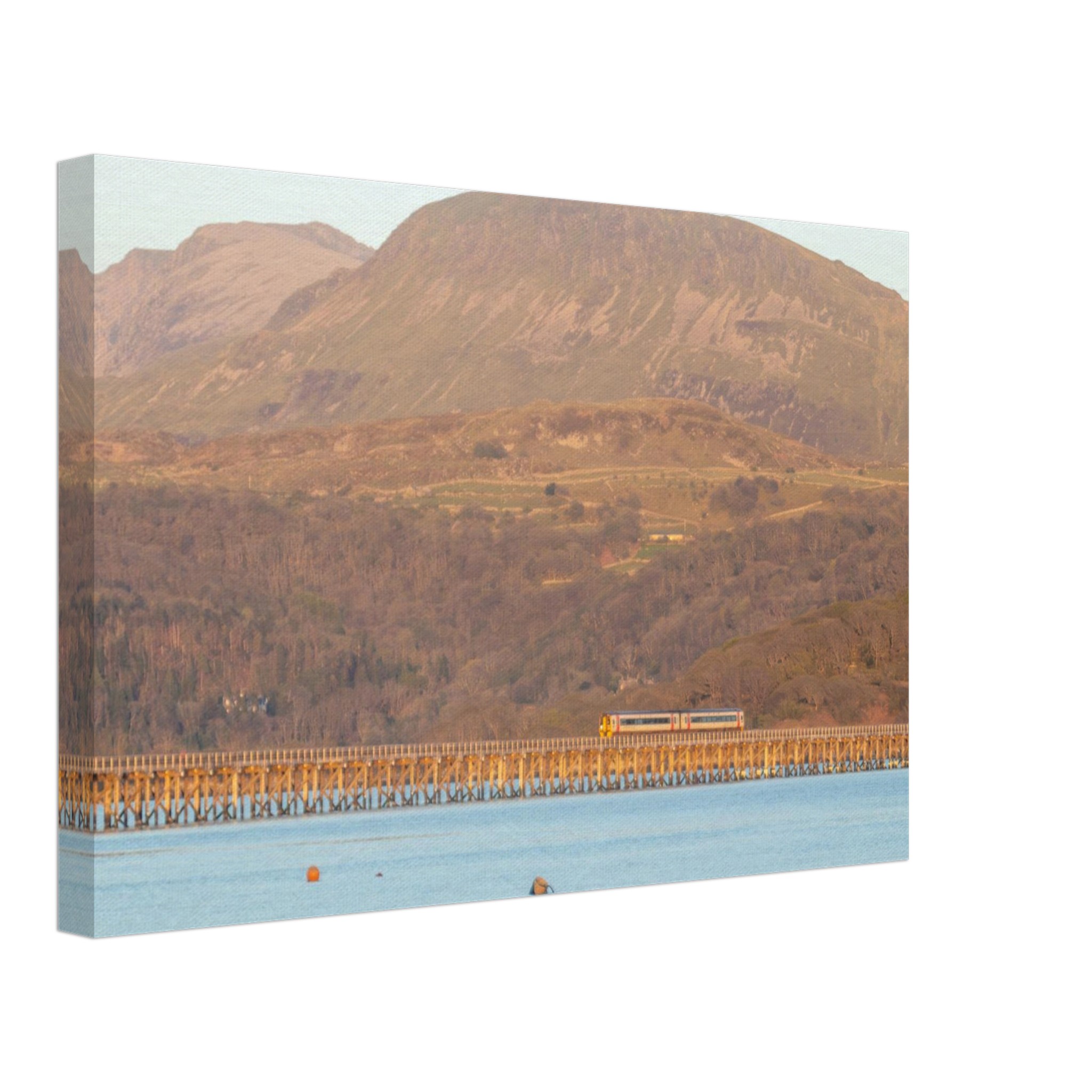 Barmouth Bridge And Trains