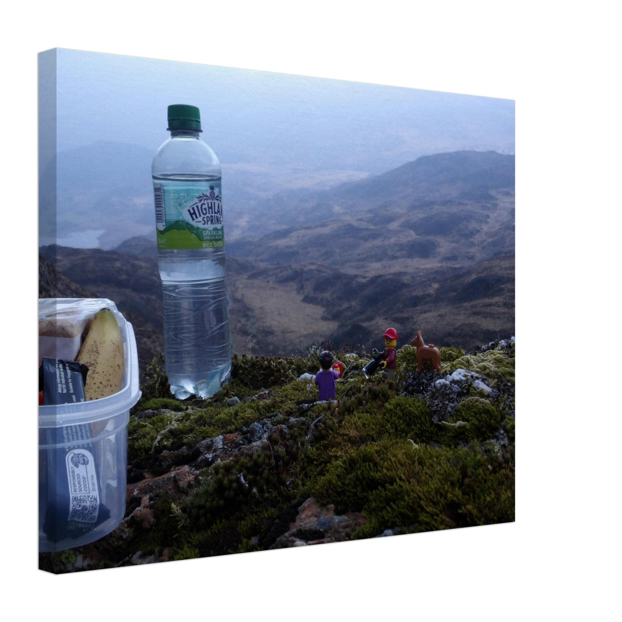 Del, Delila and Noal Lunch