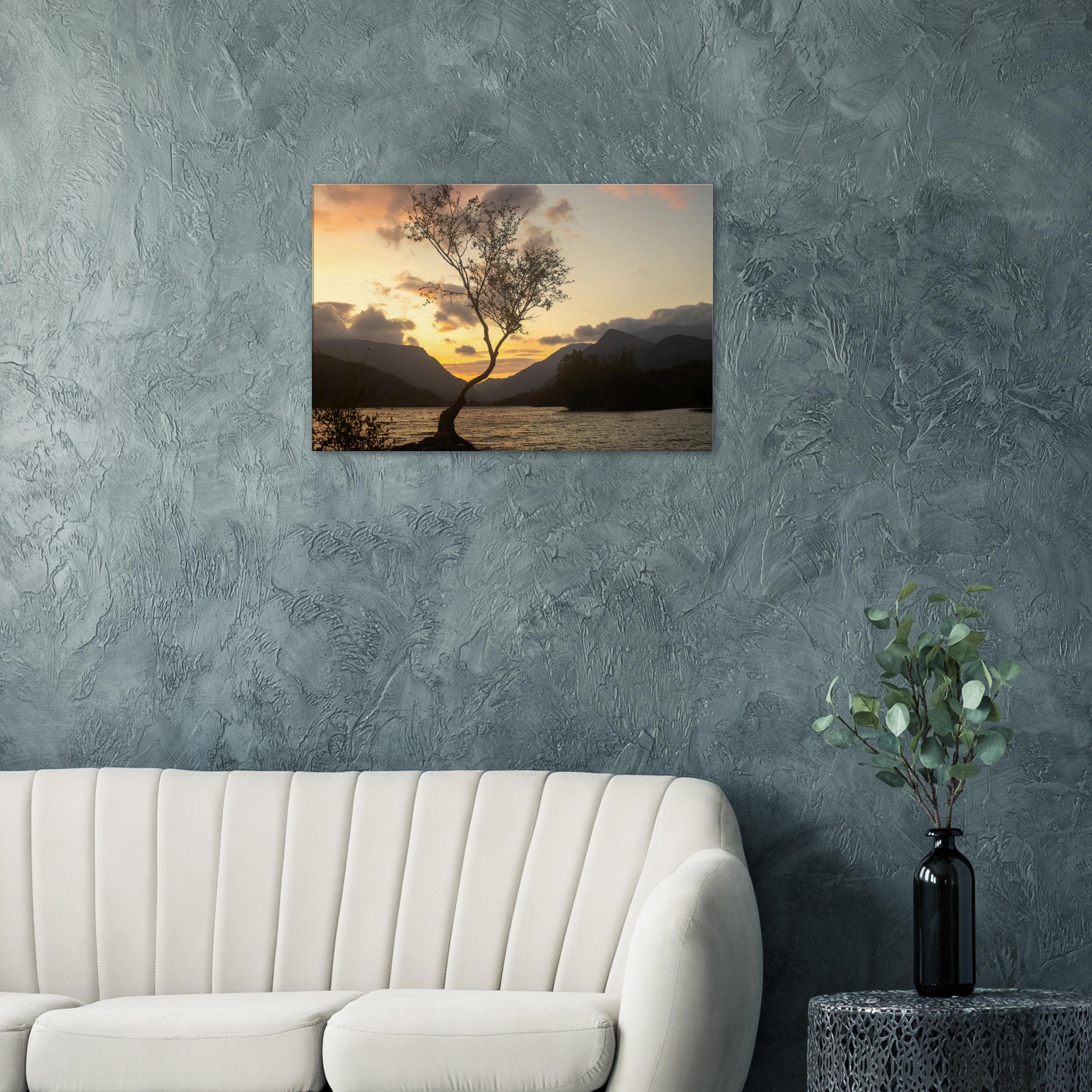 Lonley Tree Mountain Views