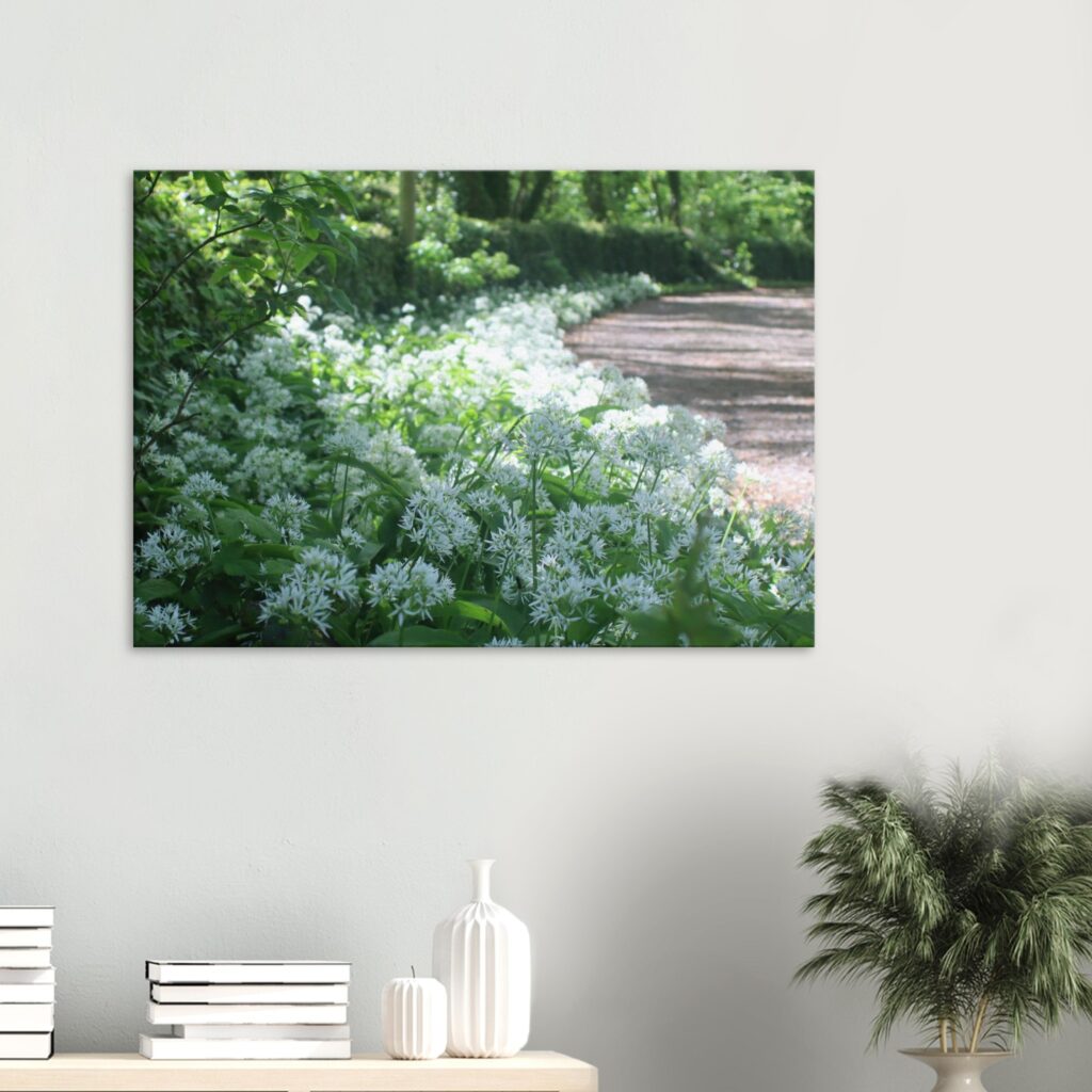 Wild Garlic