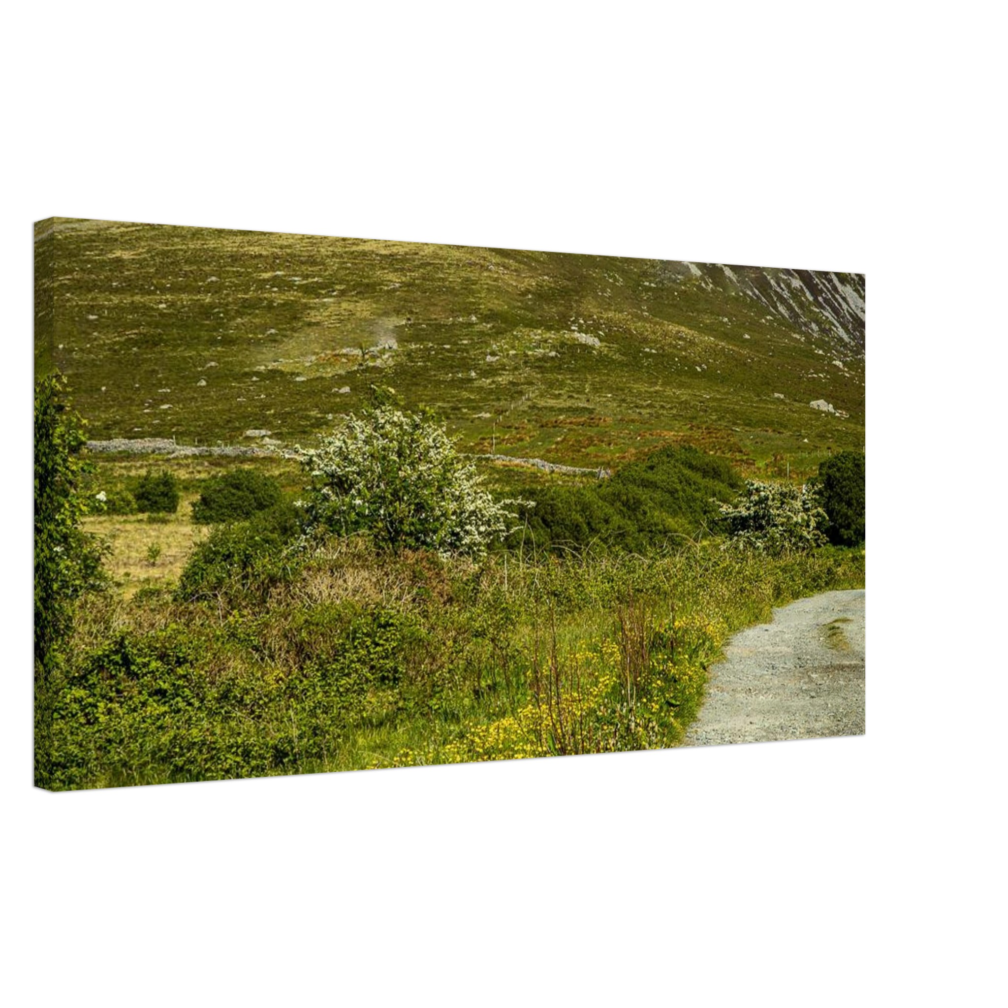 Glowing Buttercup Road