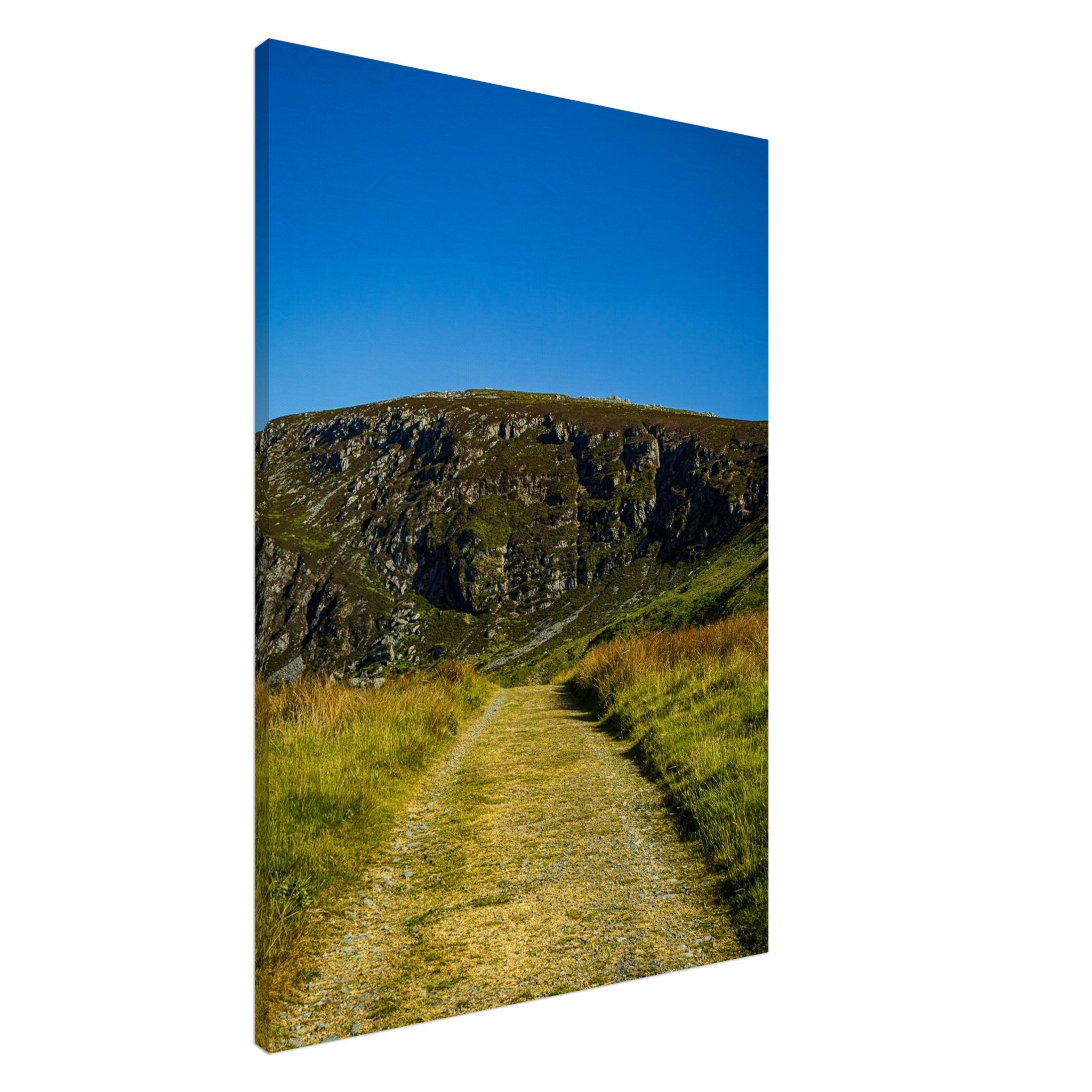 Deadend Country Lane Leading To Welsh Mountains