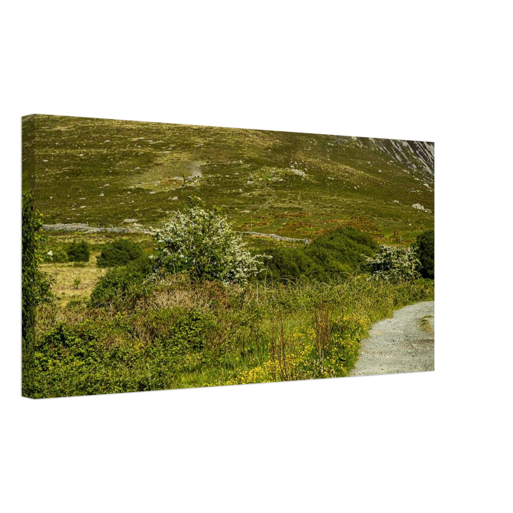 Glowing Buttercup Road