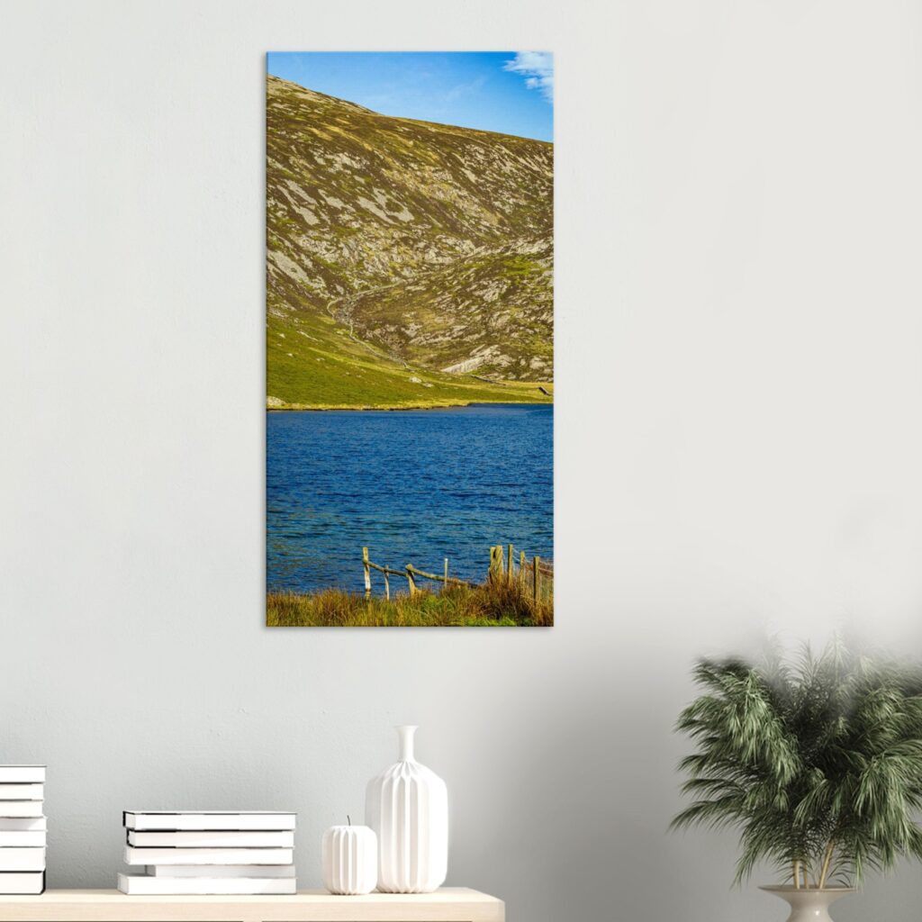 Llyn Cwm Dulyn