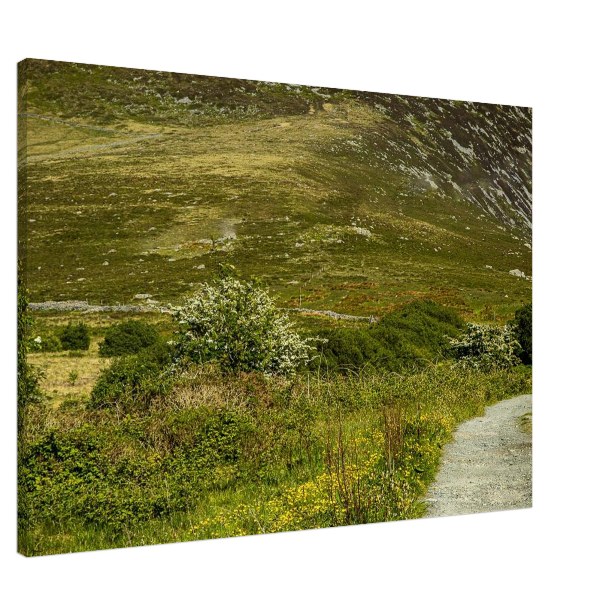 Glowing Buttercup Road