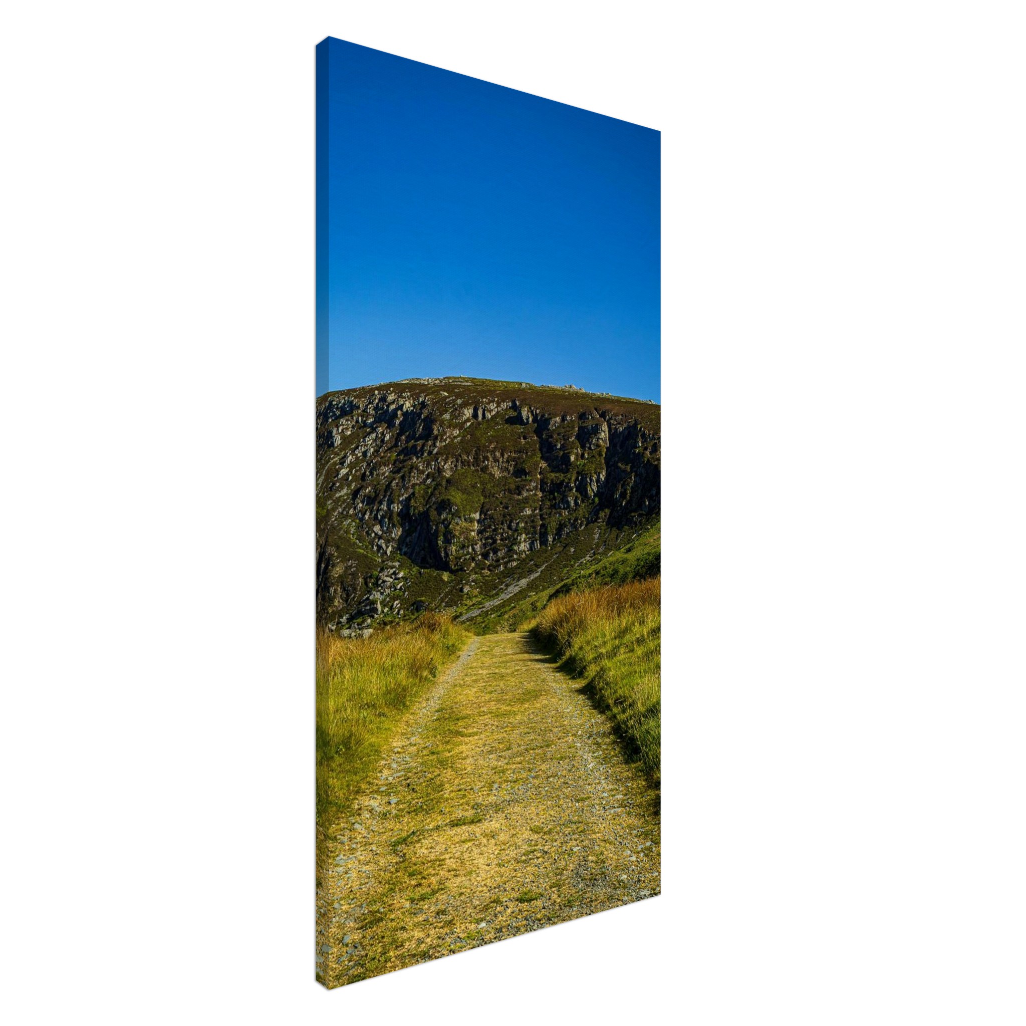Deadend Country Lane Leading To Welsh Mountains