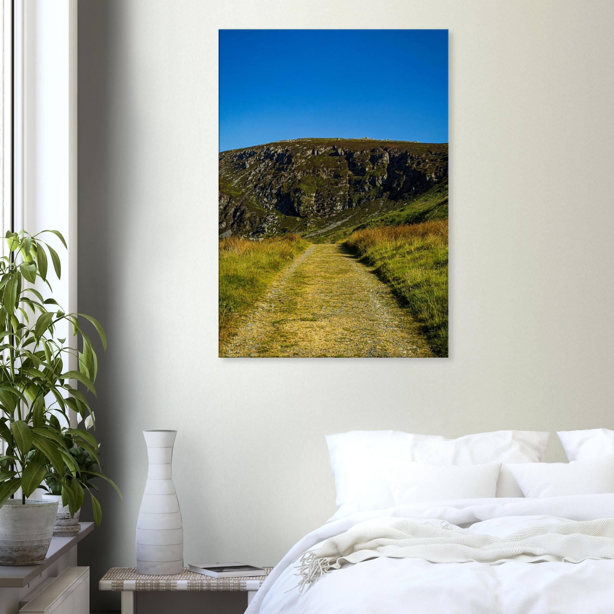 Deadend Country Lane Leading To Welsh Mountains