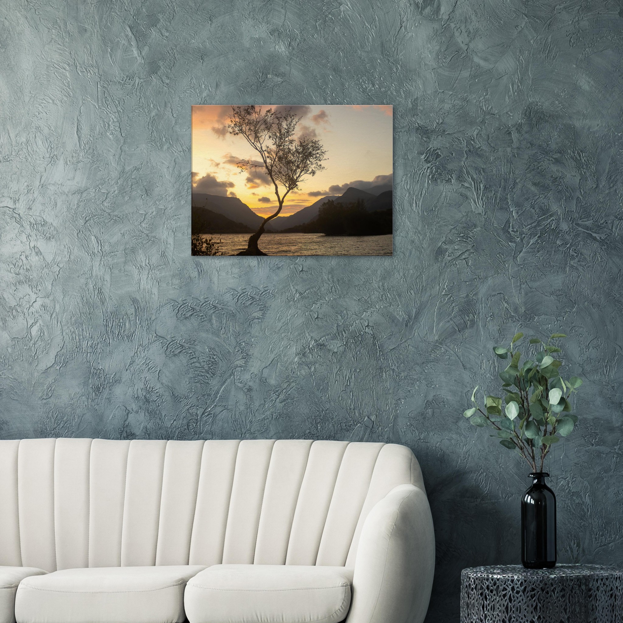 Lonley Tree Mountain Views