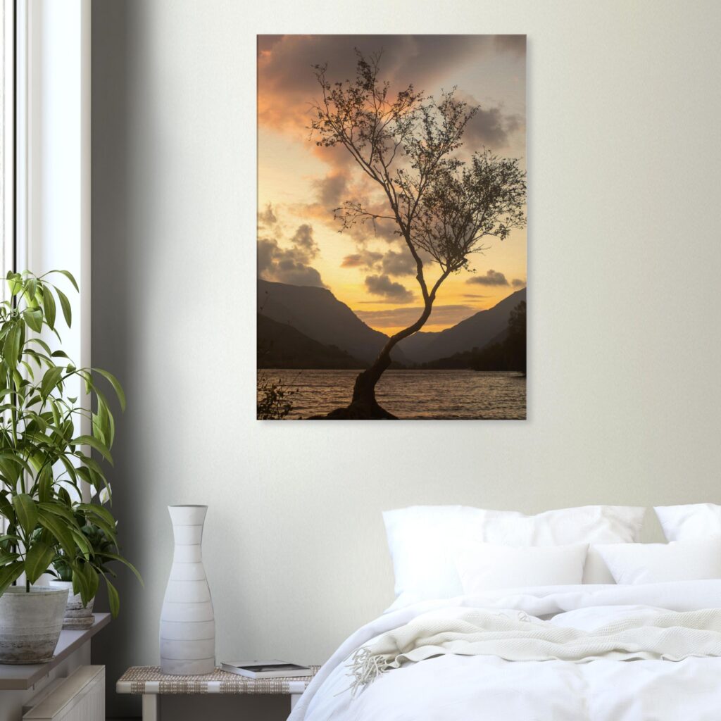 Lonley Tree Cloudy Background