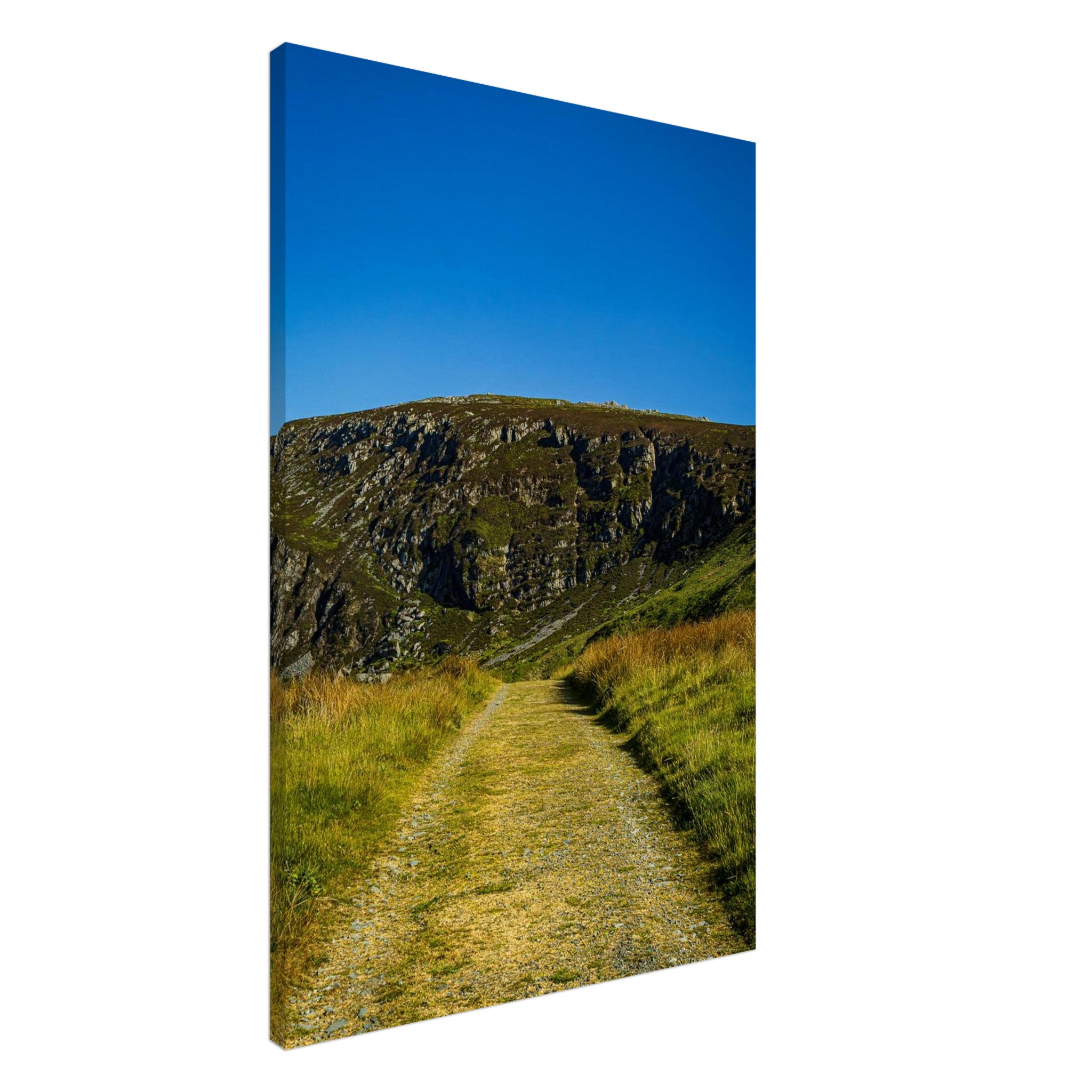Deadend Country Lane Leading To Welsh Mountains