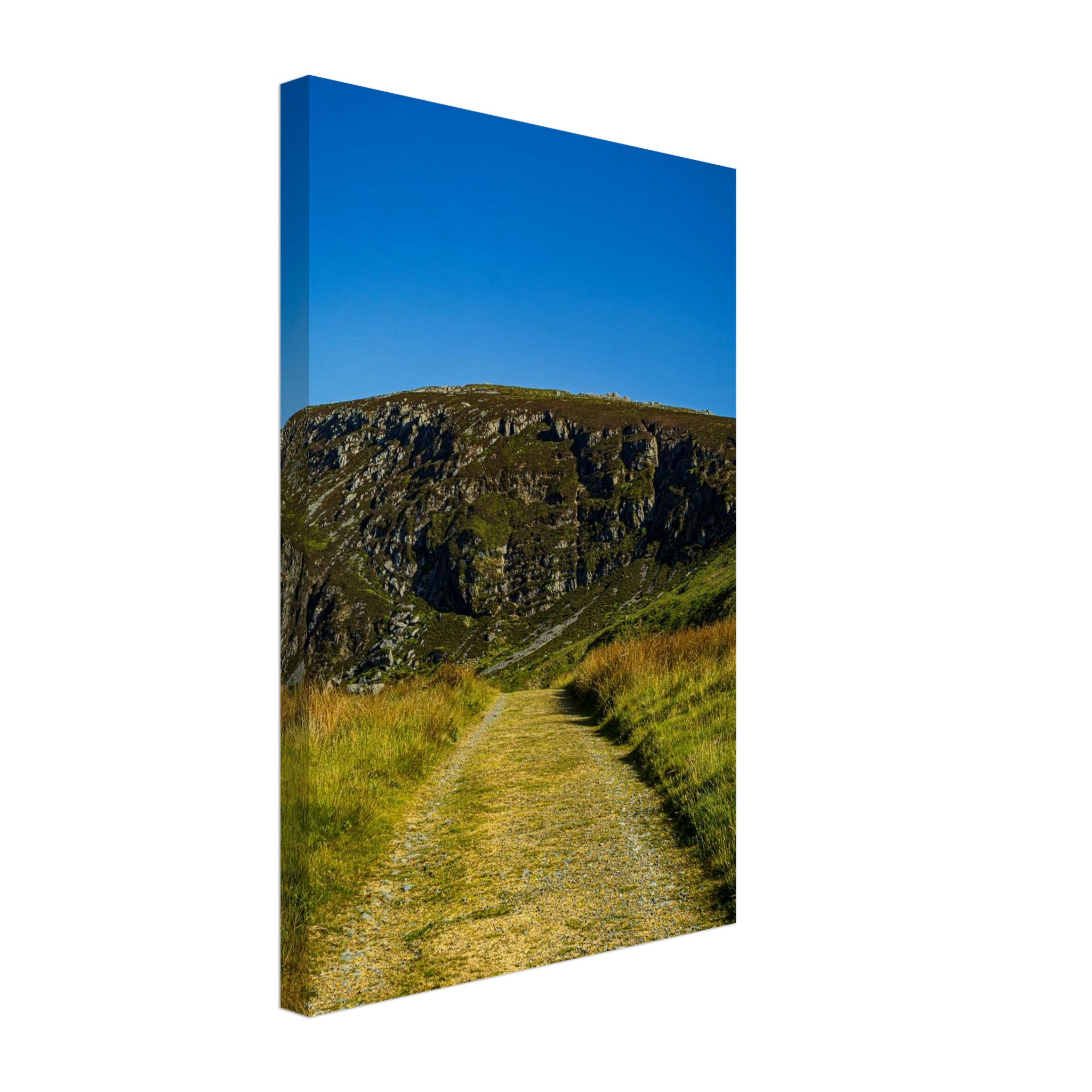 Deadend Country Lane Leading To Welsh Mountains