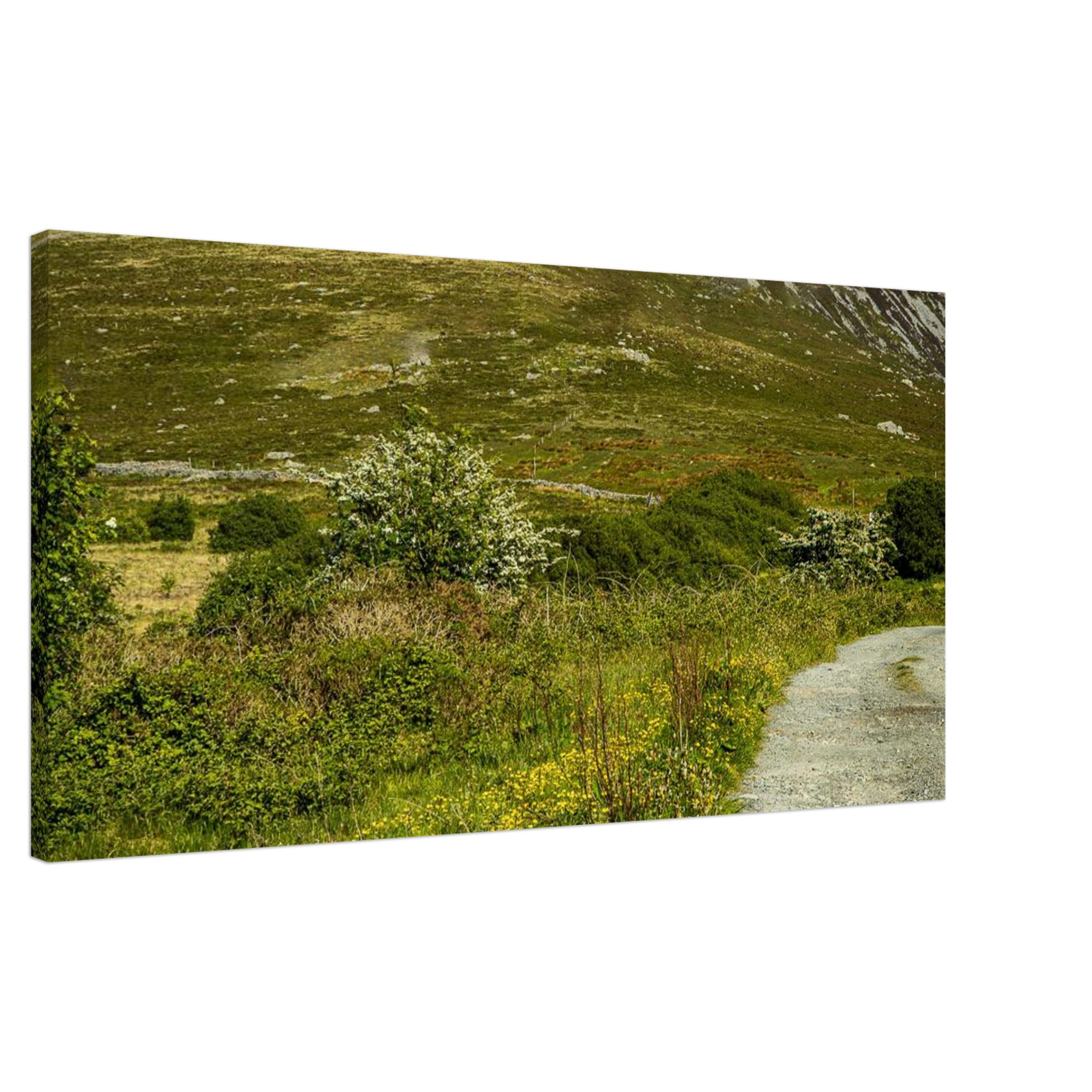 Glowing Buttercup Road