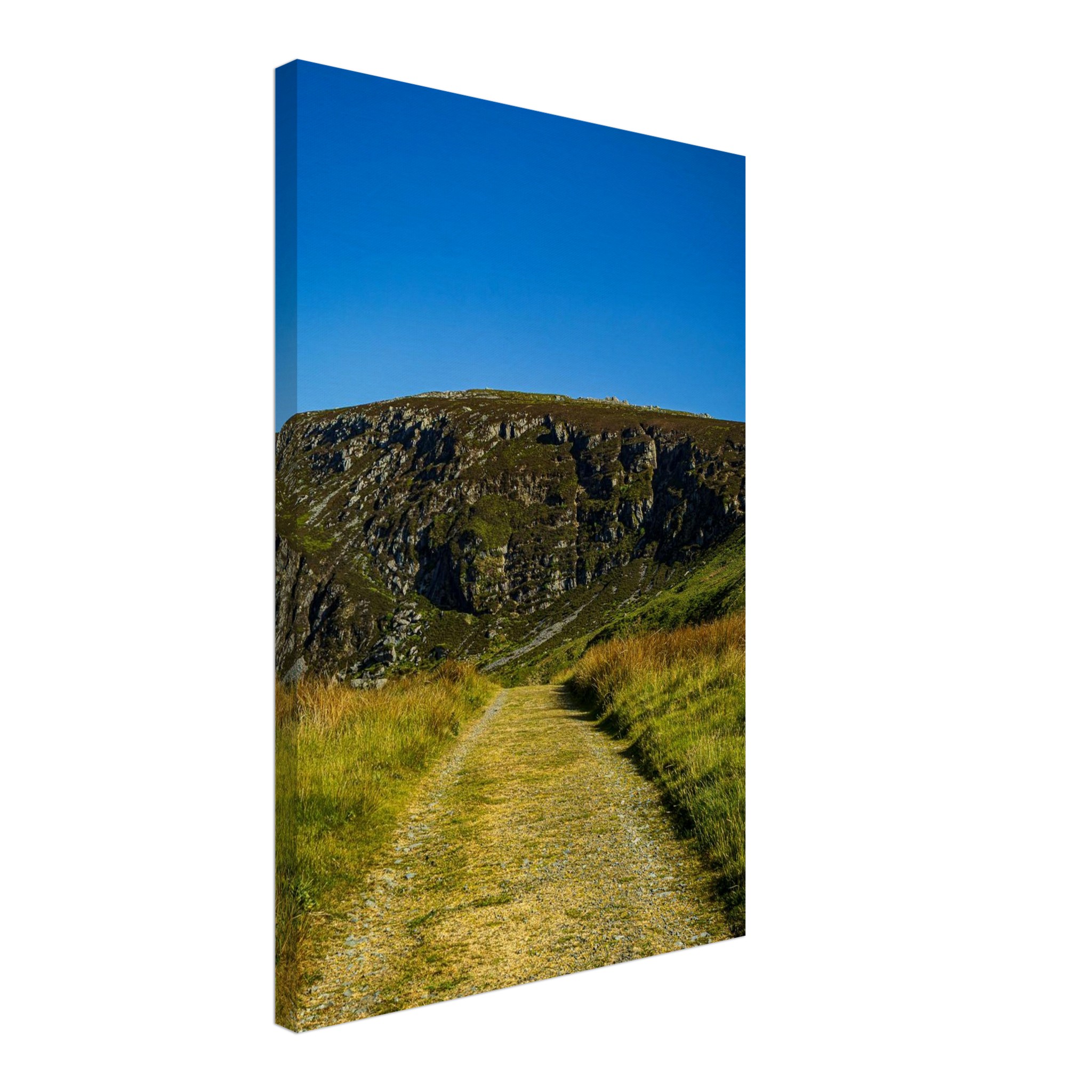Deadend Country Lane Leading To Welsh Mountains