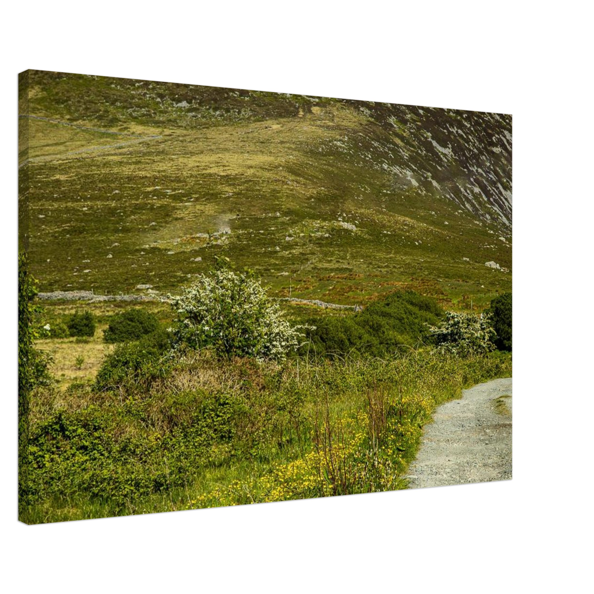 Glowing Buttercup Road