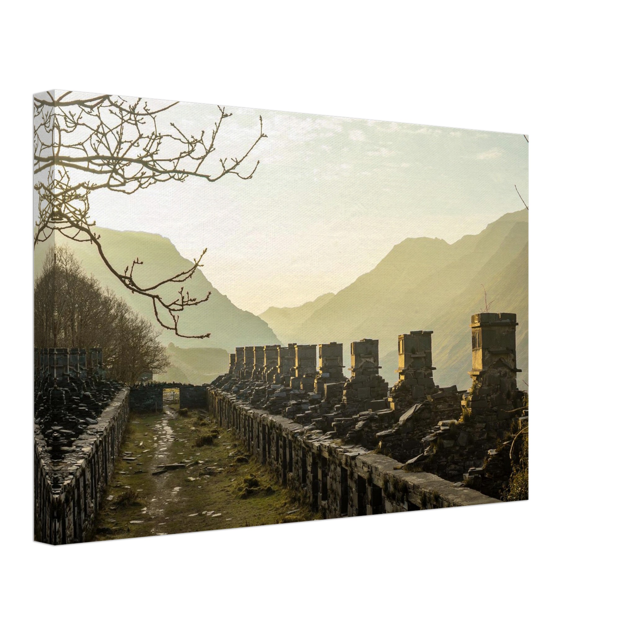 Sundrenched Barracks