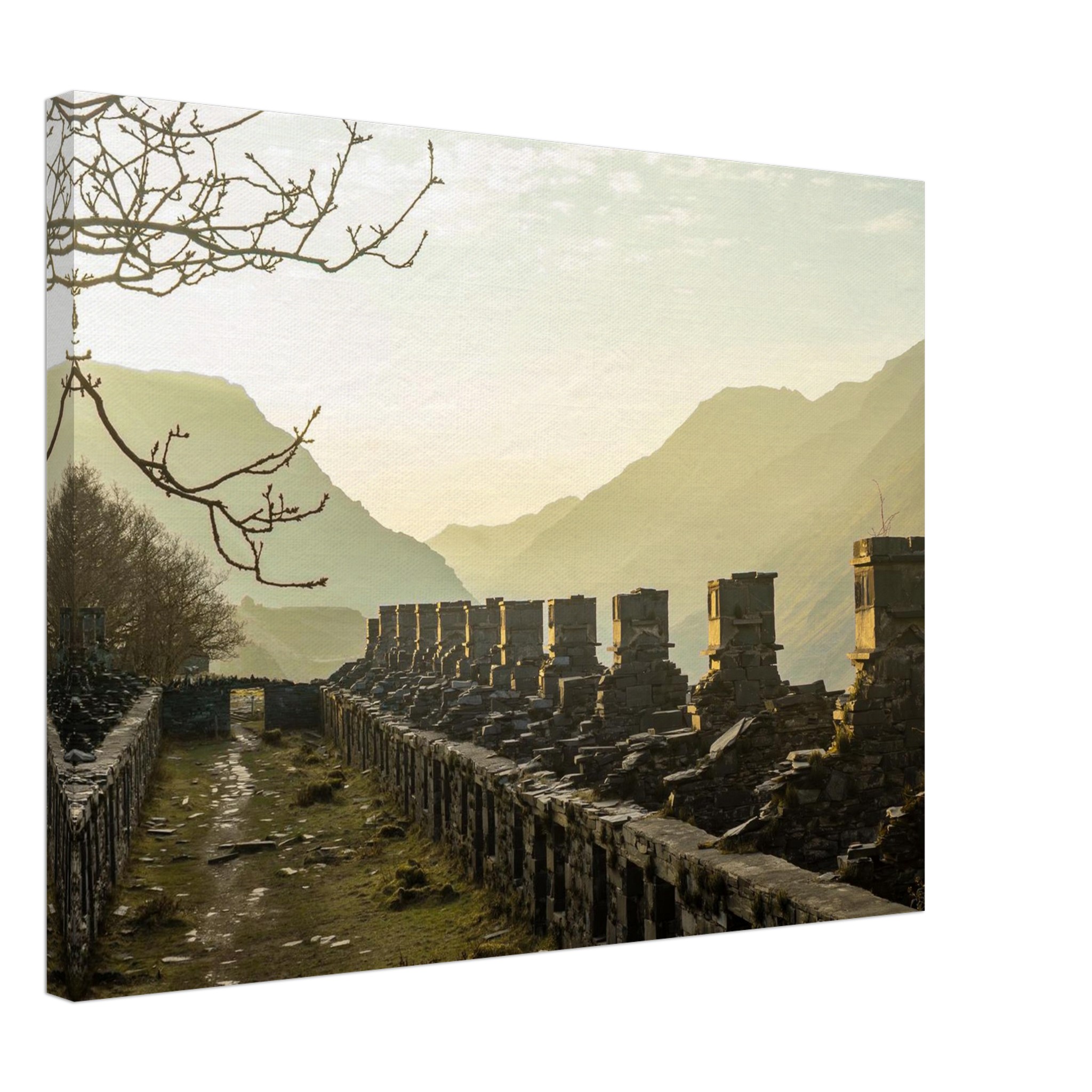 Sundrenched Barracks