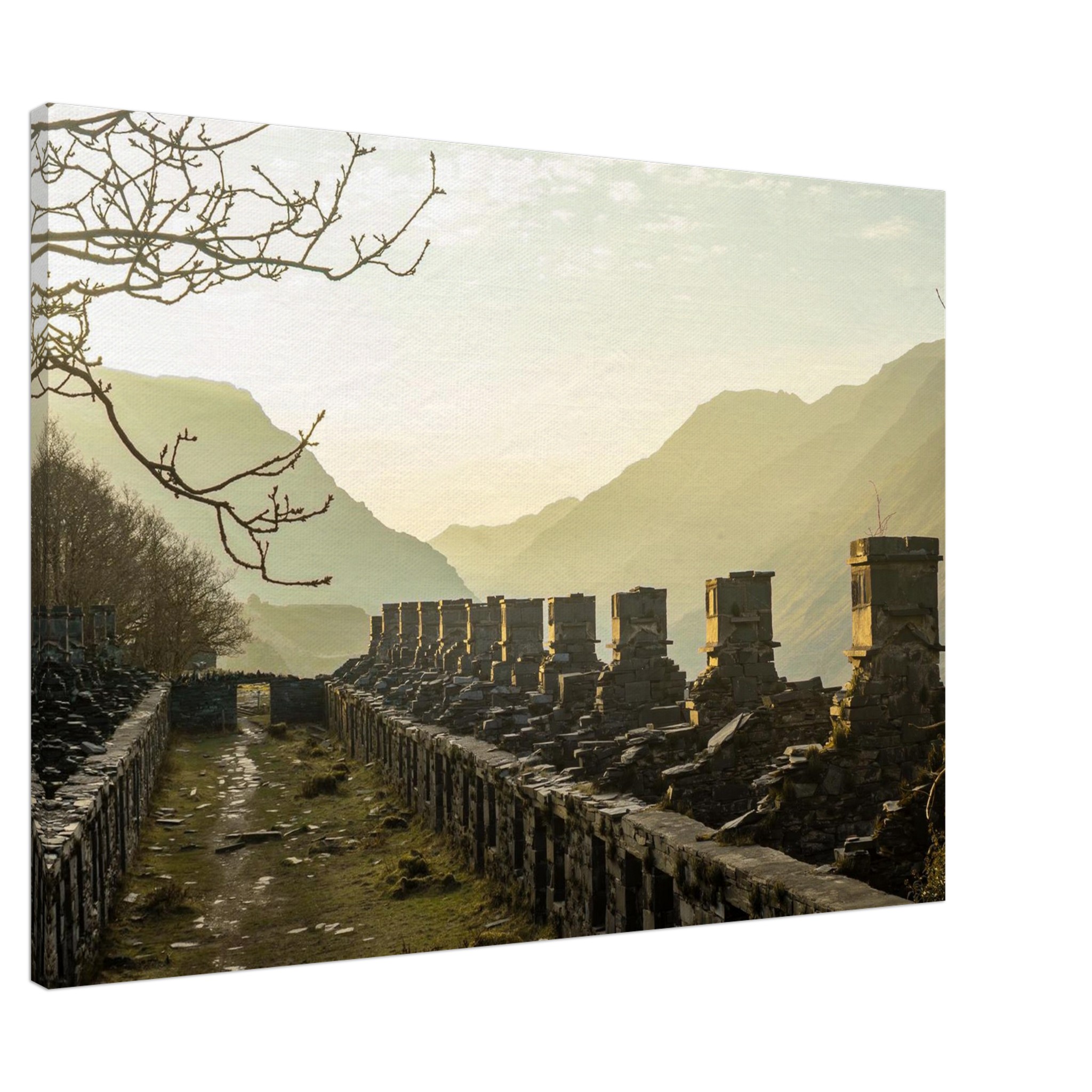 Sundrenched Barracks