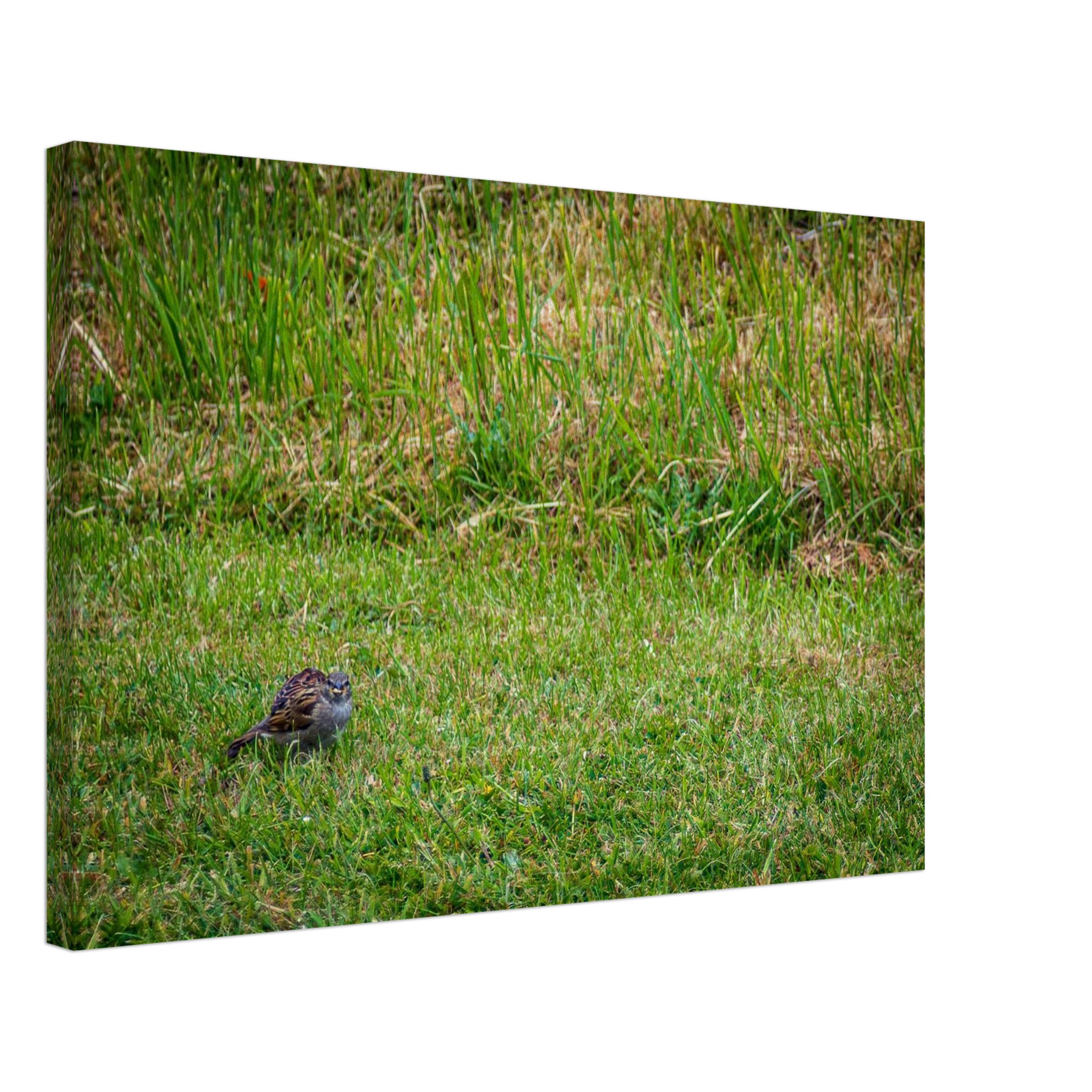 Not While I'm Eating