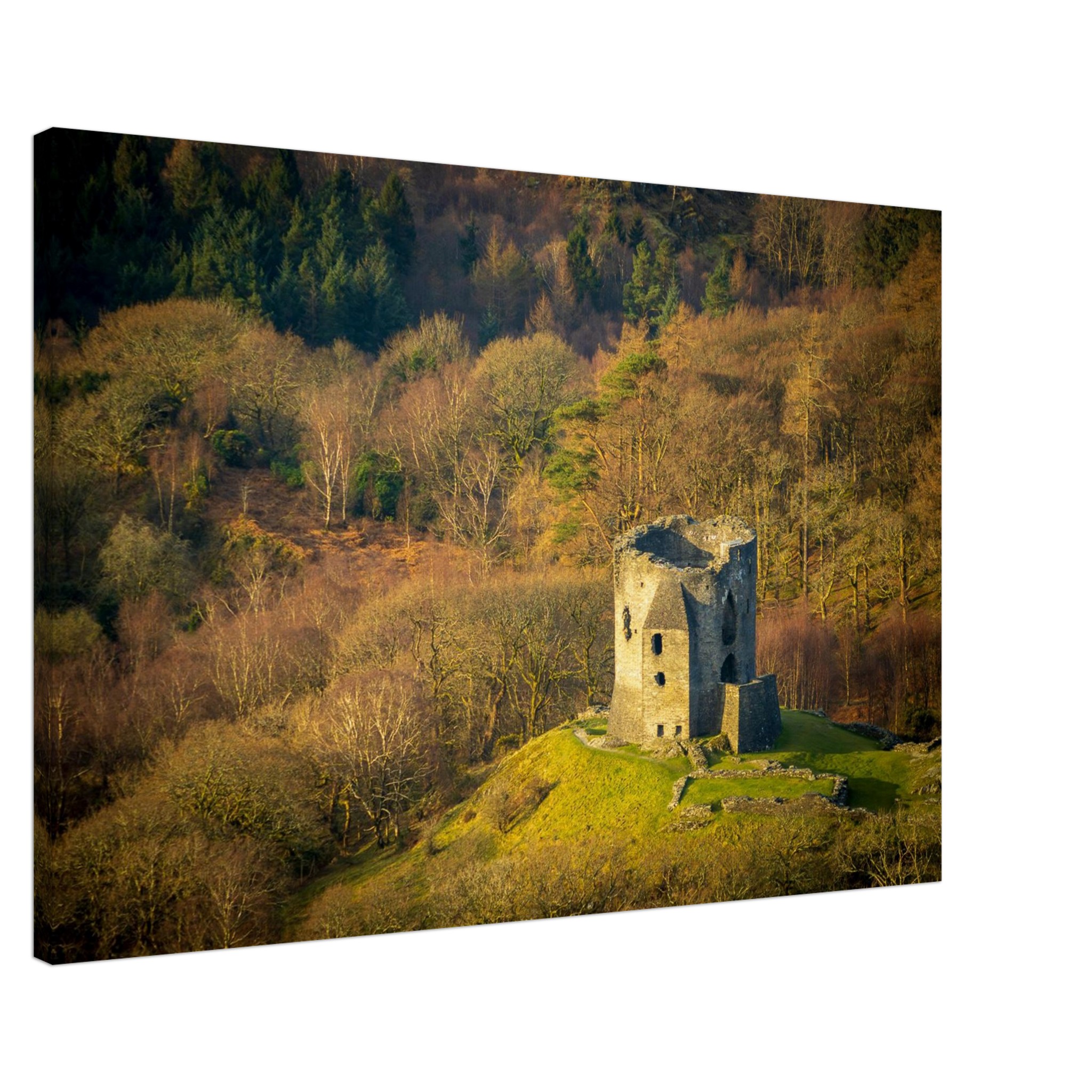 Dolbadarn Castle