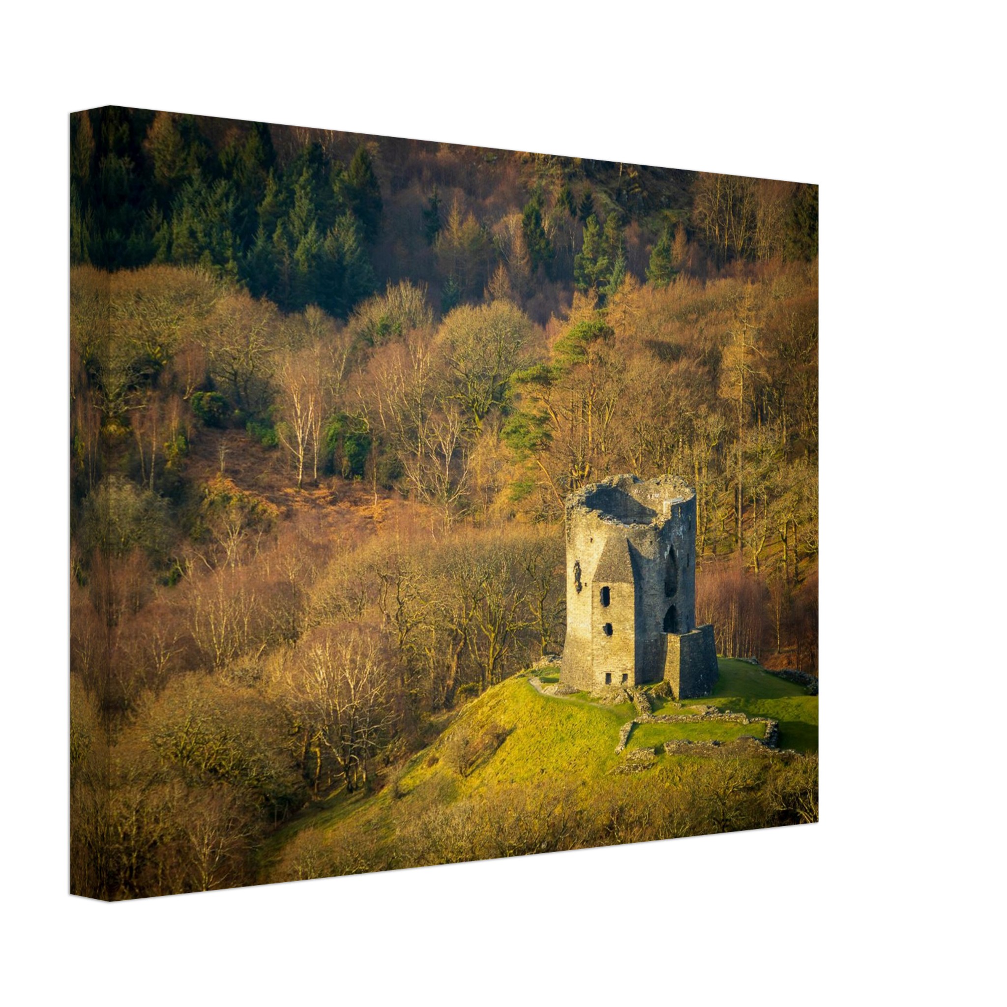 Dolbadarn Castle
