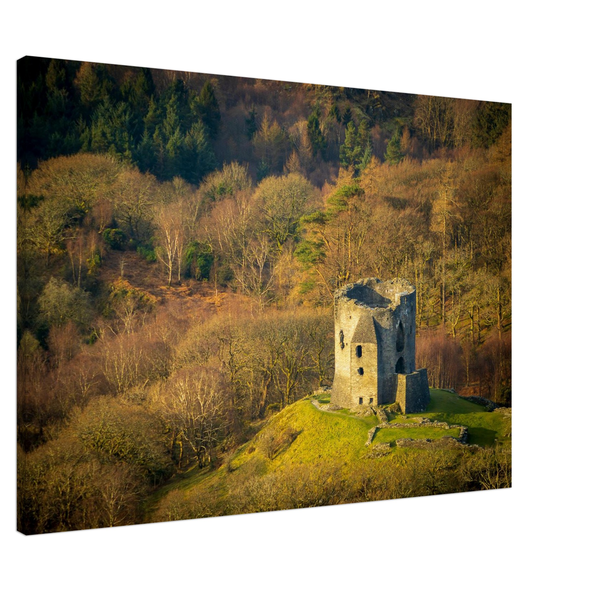 Dolbadarn Castle