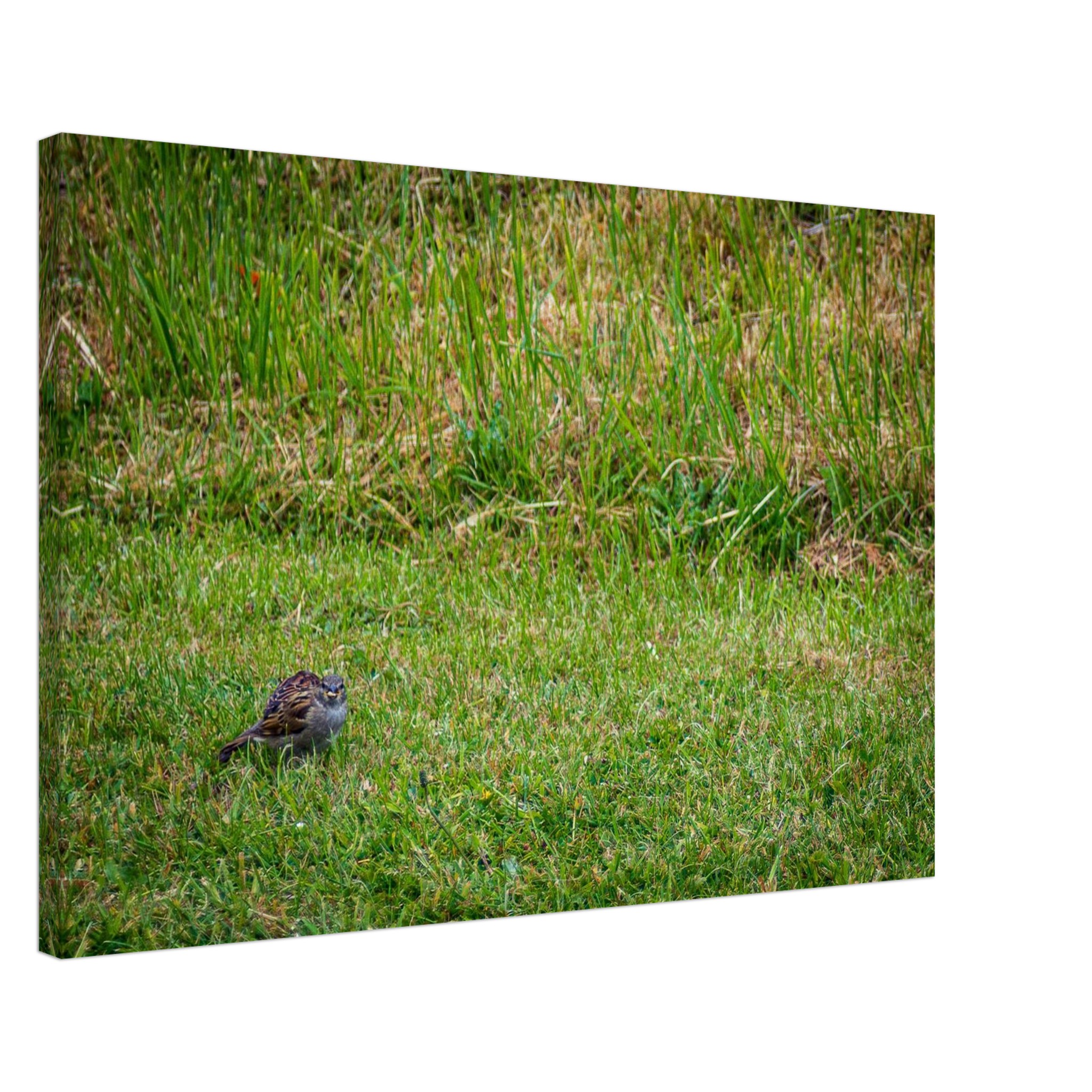 Not While I'm Eating