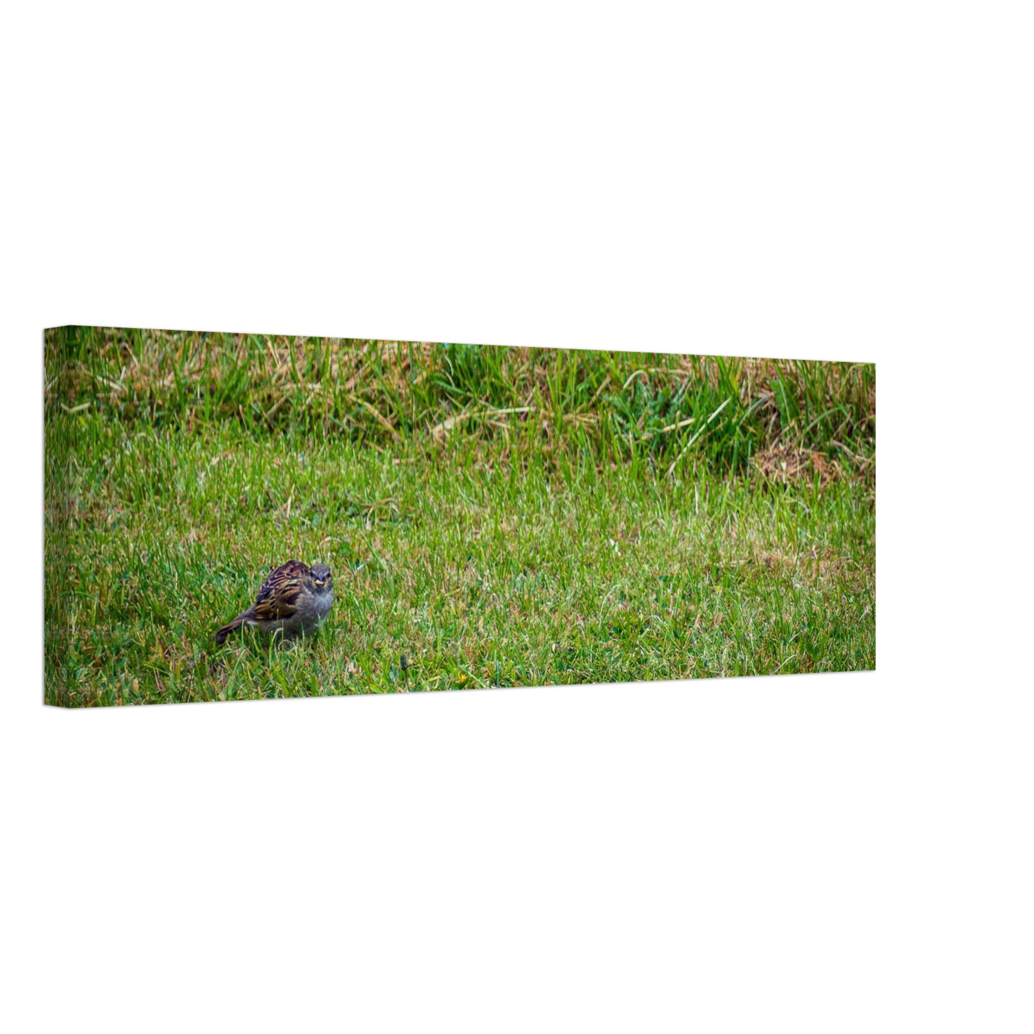 Not While I'm Eating