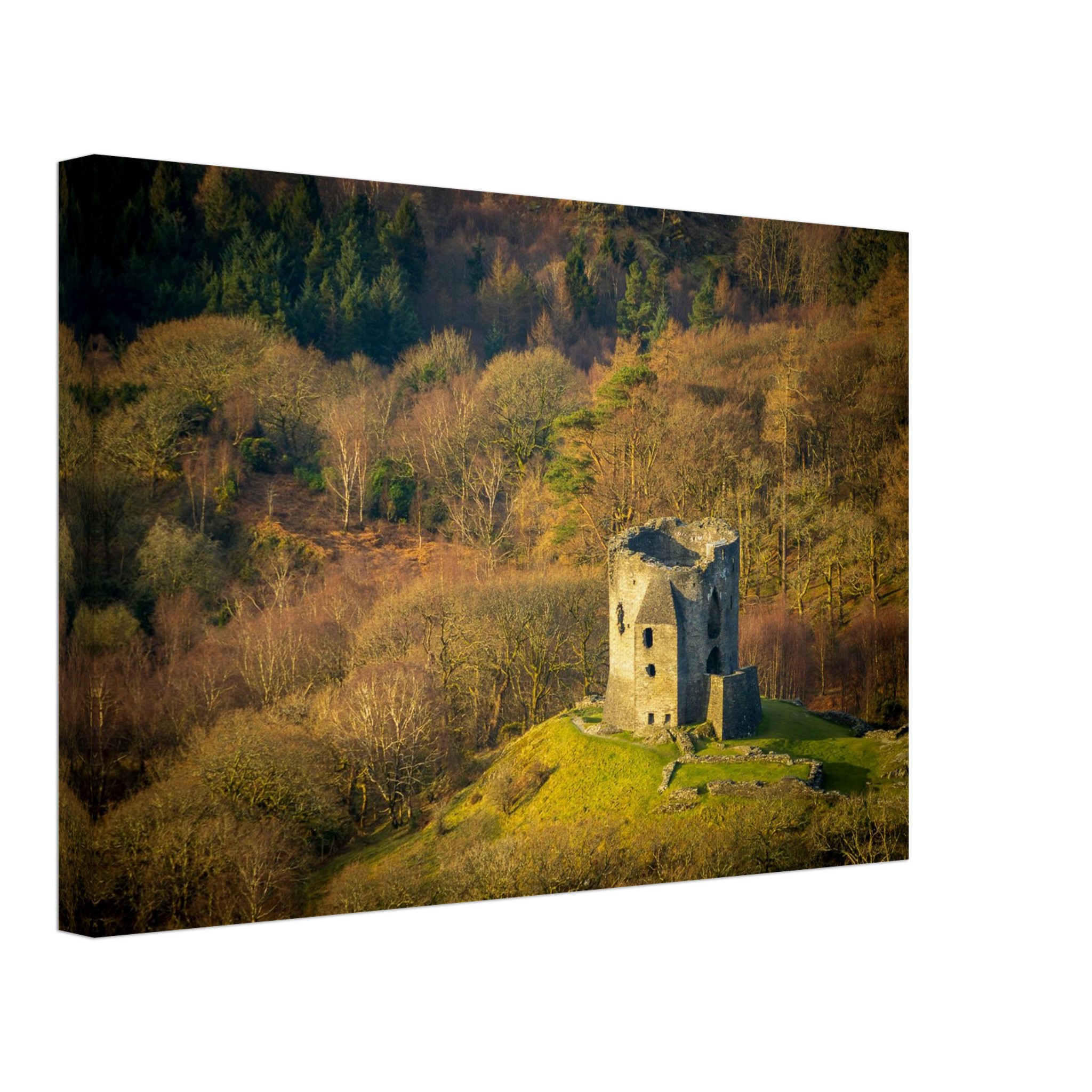 Dolbadarn Castle