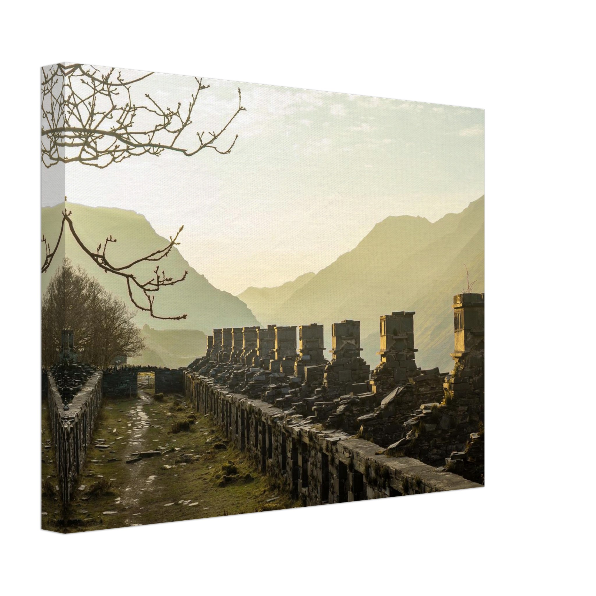 Sundrenched Barracks