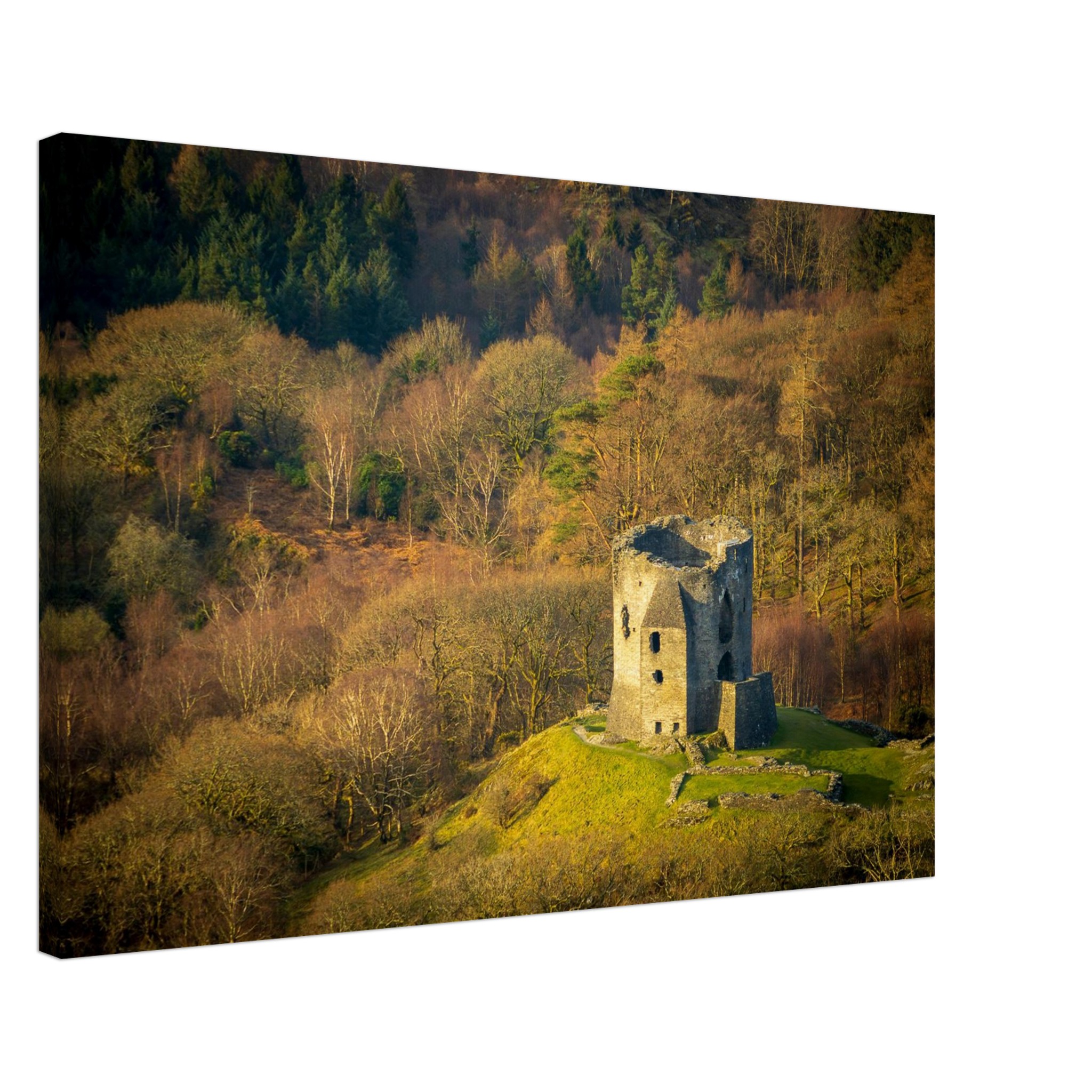 Dolbadarn Castle