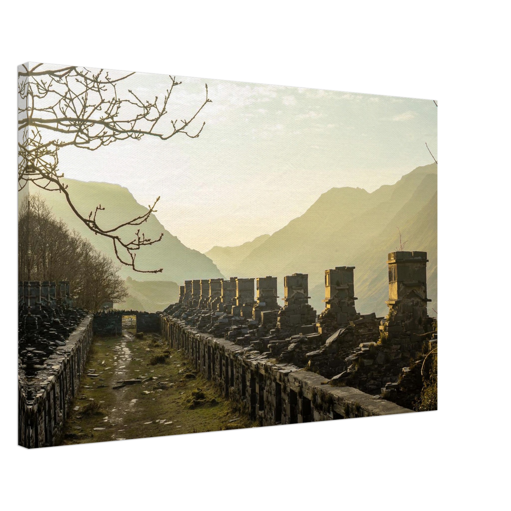 Sundrenched Barracks