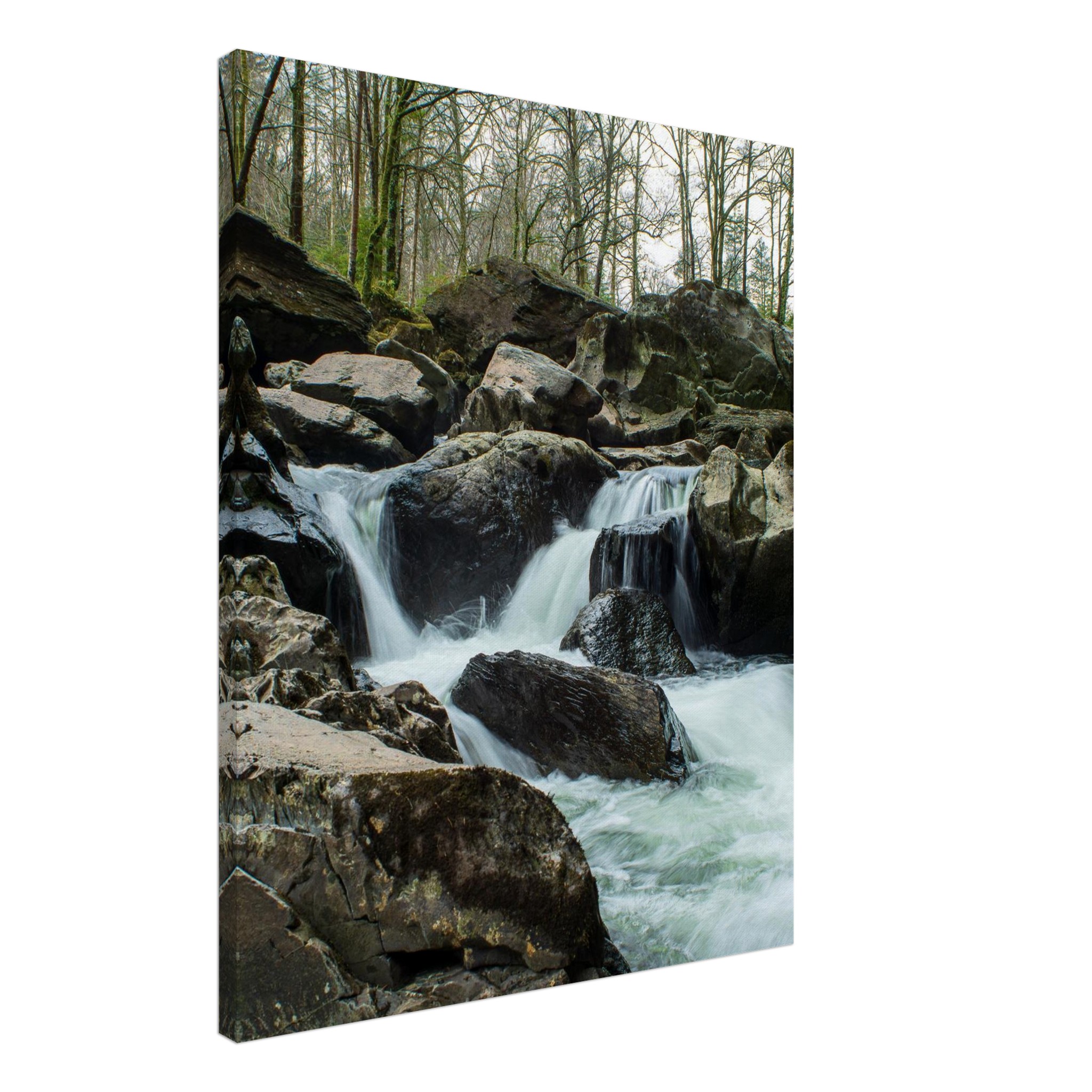 Afon Llugwy Torrent Waterfalls