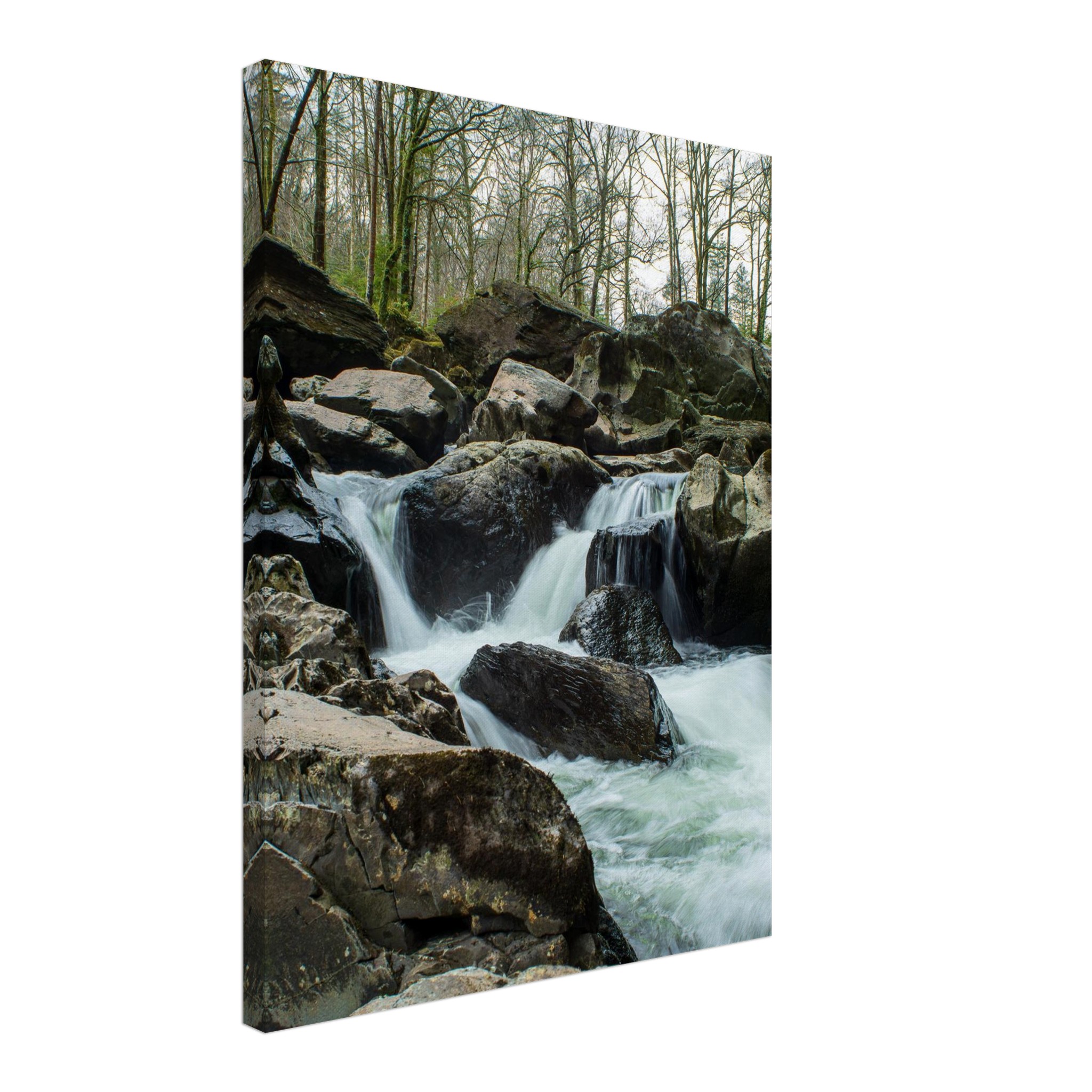 Afon Llugwy Torrent Waterfalls