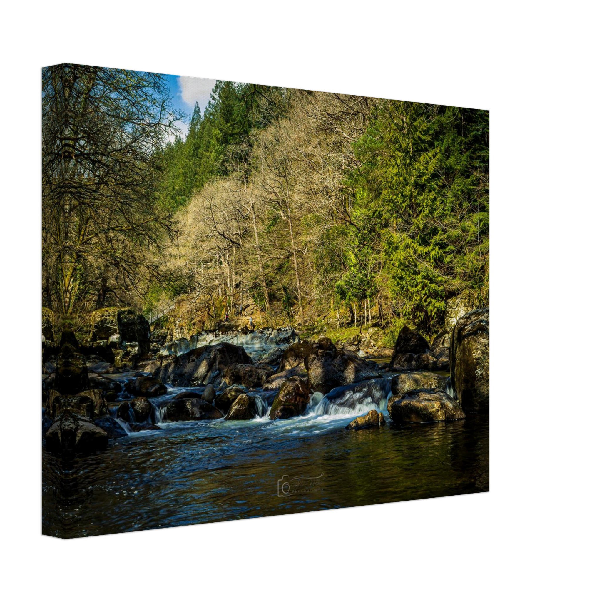 Miners Bridge Streams Canvas Print
