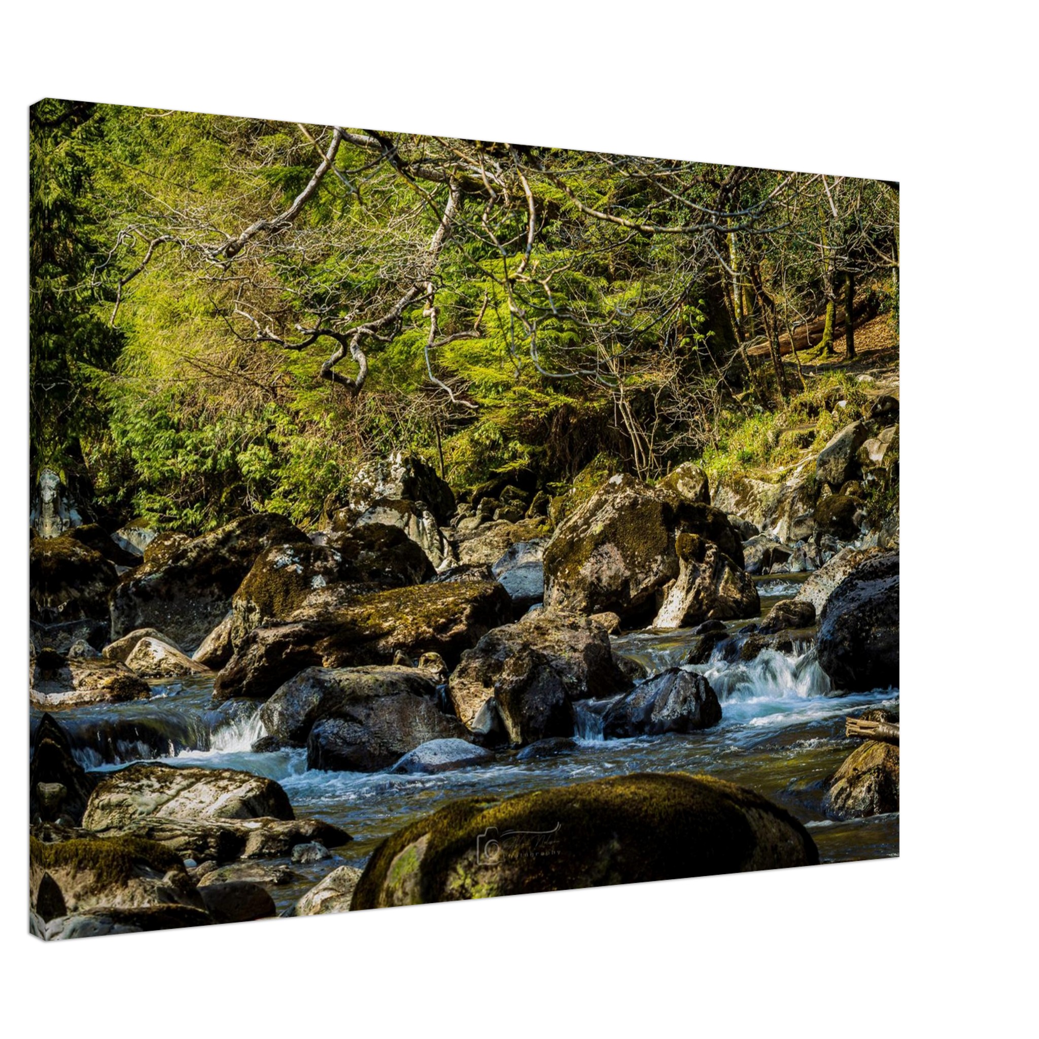 Miners Bridge Mini Waterfalls Canvas Print