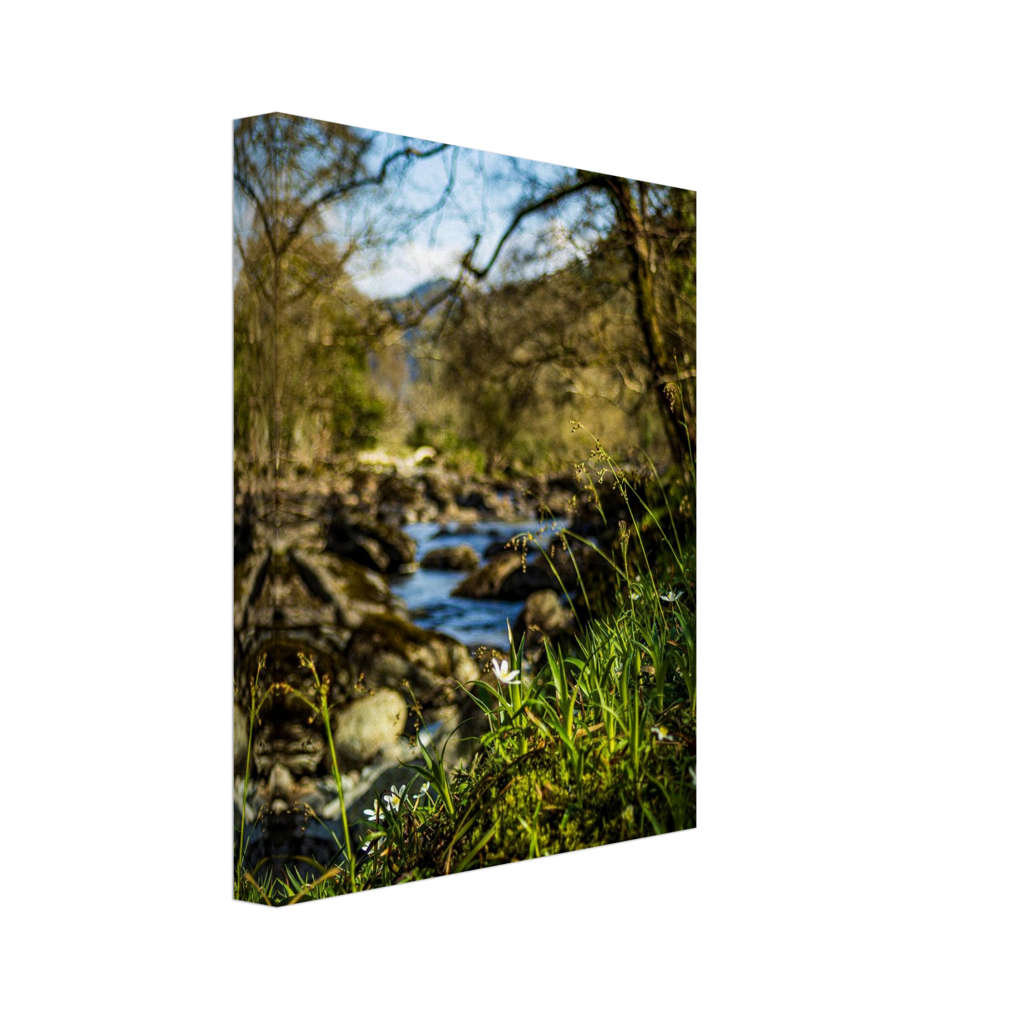 Daisies Overlooking Miners Bridge Canvas Print
