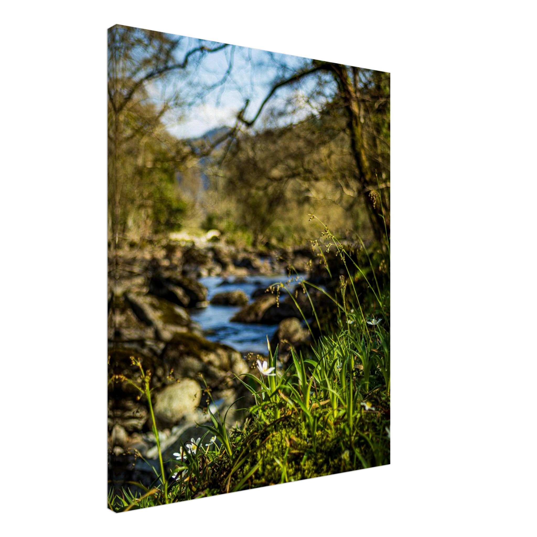 Daisies Overlooking Miners Bridge Canvas Print