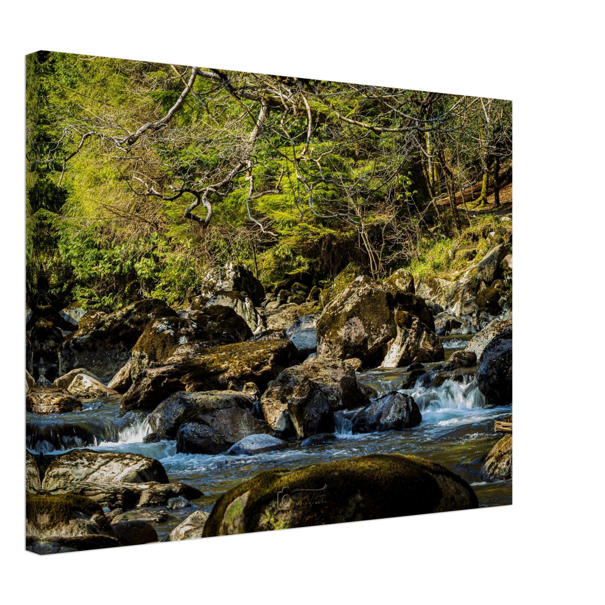 Miners Bridge Mini Waterfalls Canvas Print