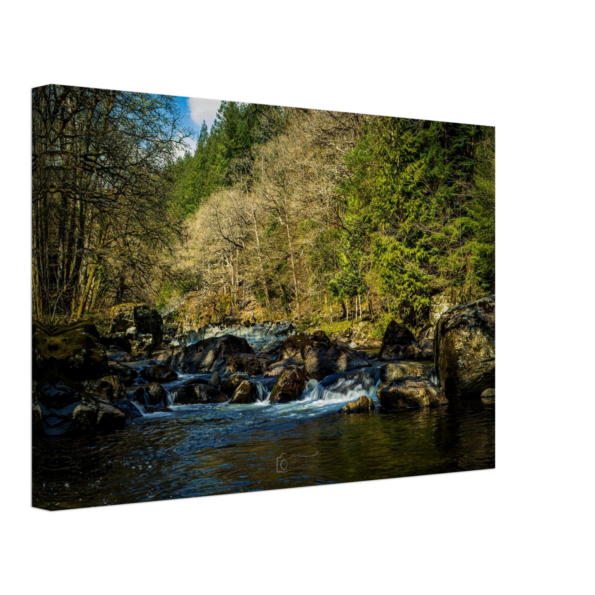 Miners Bridge Streams Canvas Print