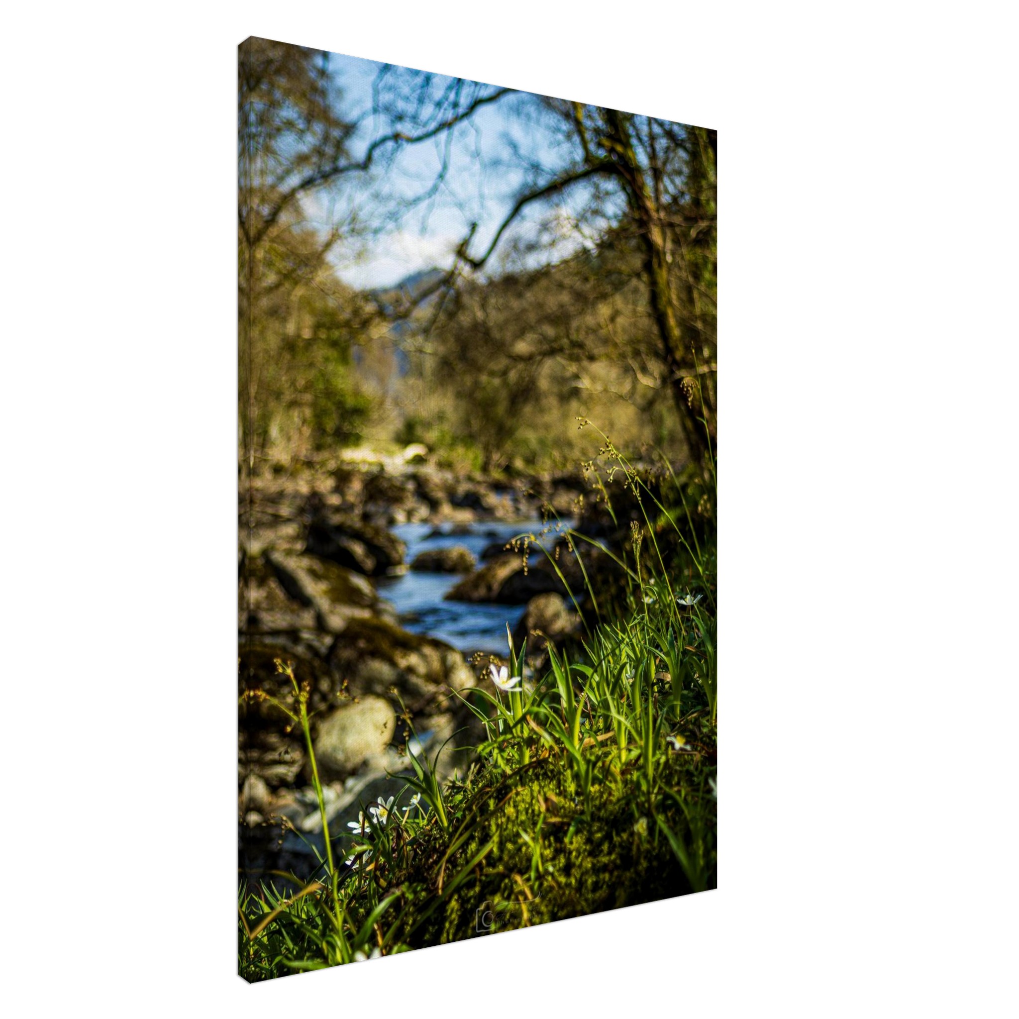 Daisies Overlooking Miners Bridge Canvas Print