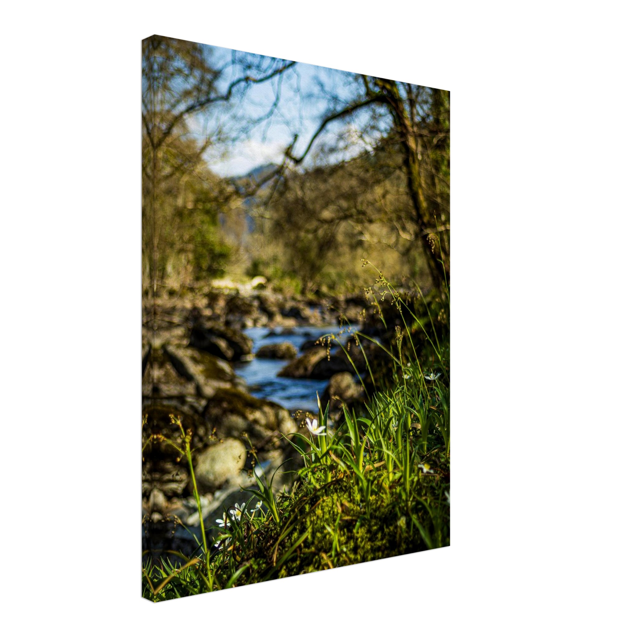 Daisies Overlooking Miners Bridge Canvas Print