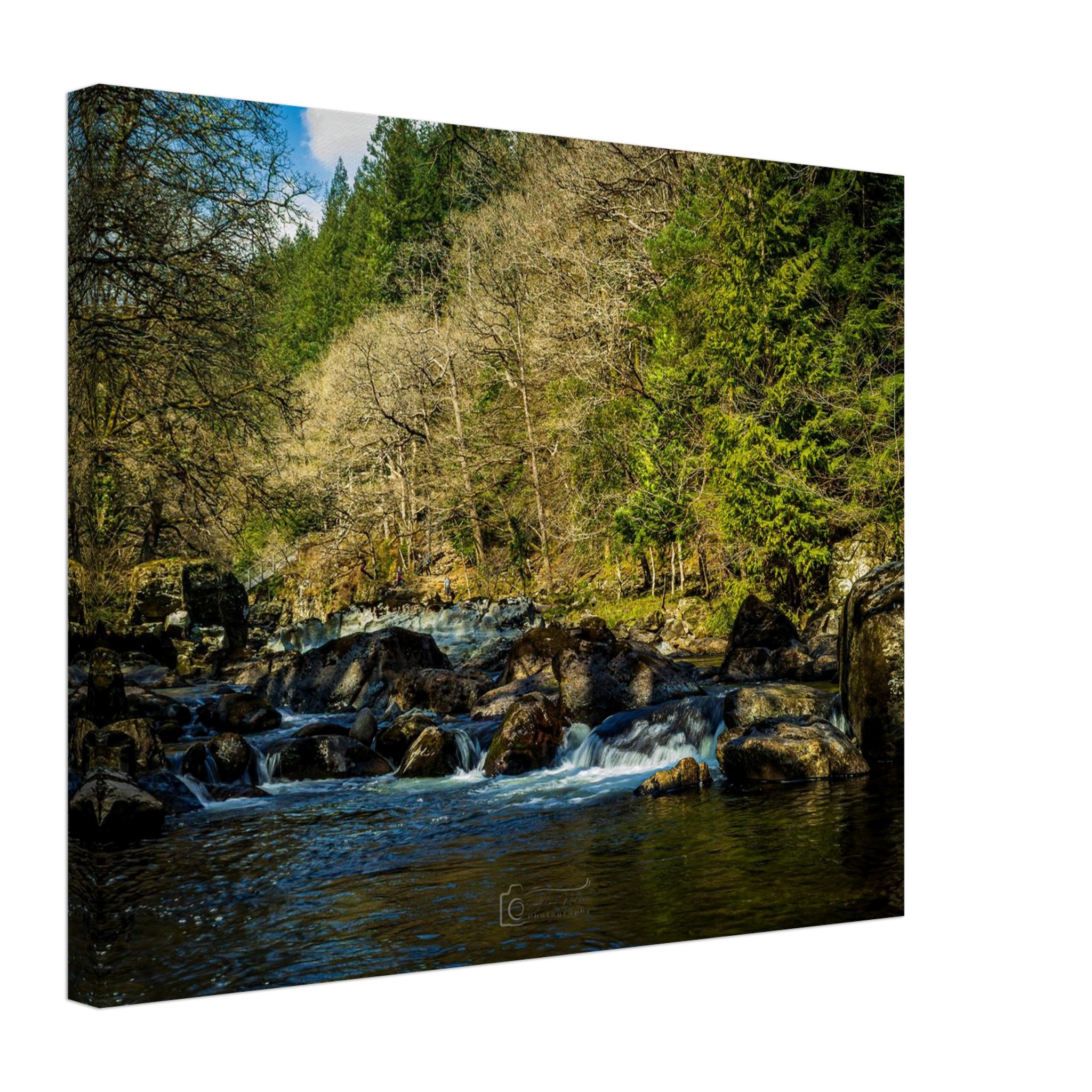 Miners Bridge Streams Canvas Print